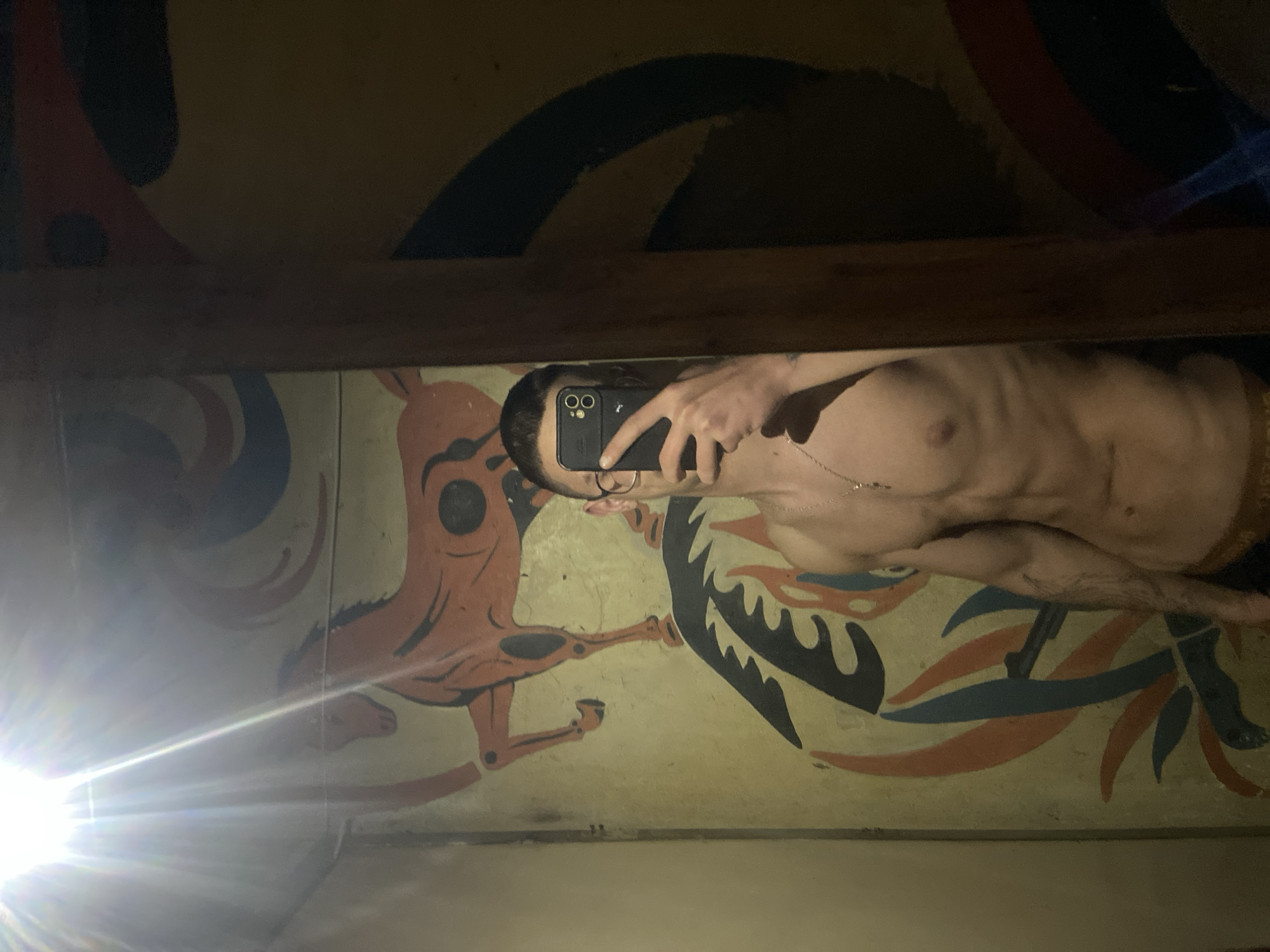 The image shows a person taking a selfie in a room with a mural. The person is partially shirtless, holding a smartphone in front of their face. The mural appears to depict stylized animals and abstract shapes in red, black, and blue on a white or light-colored background. The upper portion of the image suggests the ceiling or a structural element above the mural. The location in Pleven, Bulgaria, is not visually verifiable from the image.