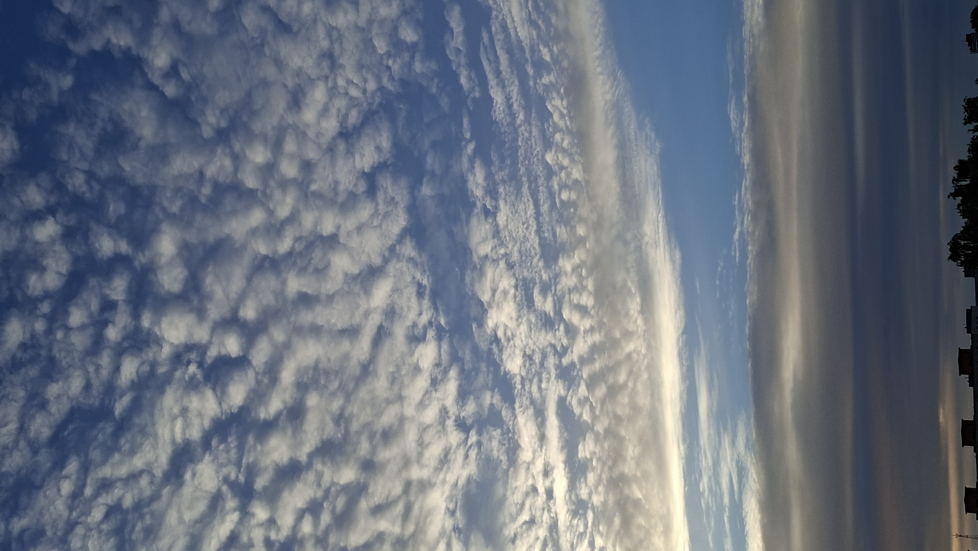 The image shows a view of the sky with clouds and buildings. The sky is blue with white and gray clouds. The clouds are arranged in rows, creating a textured pattern. In the lower part of the image, there are buildings with flat roofs and some trees. The overall scene appears to be a city view, likely at sunset or sunrise, given the lighting conditions. The image is a vertical shot, emphasizing the expanse of the sky. The location is identified as Tallinn, Estonia.