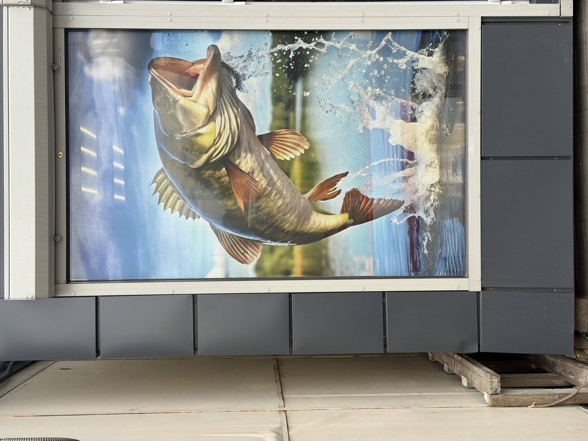 A close-up shows a large rectangular sign or display mounted on a building or structure. The sign has a white frame and displays an image of a large fish, likely a bass, leaping out of the water, surrounded by splashes and with a blue sky and green foliage in the background. The sign is attached to a gray wall composed of rectangular panels. The sign is positioned above a concrete surface, near what appears to be wooden support structures. The location is not evident from the image, and no indication of "Virki-1, Russia" or any other location is visible. There are no people visible in the image.