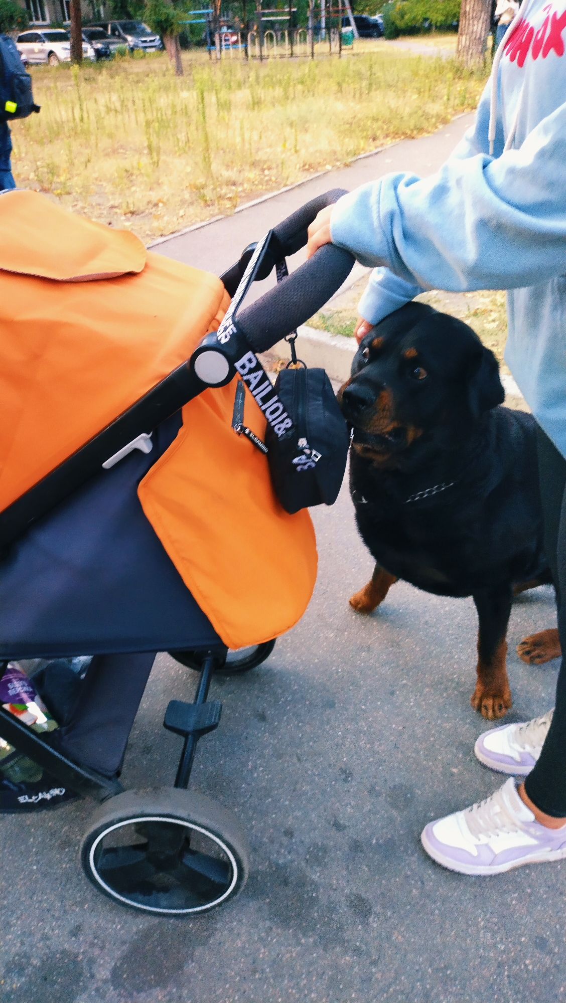 A Rottweiler dog stands next to an orange and navy stroller on an asphalt path in Horishni Plavni, Ukraine. A person wearing a light blue hoodie and black leggings holds the stroller handle. The dog's head is turned towards the person. In the background, there is a grassy area with trees and playground equipment. The sun is casting shadows, indicating it is likely late afternoon.