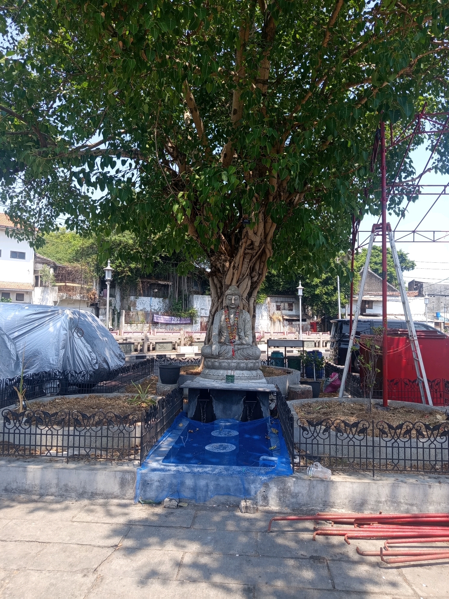 The image depicts a Buddha statue situated under a large, mature tree. The statue is stone and appears to be in a meditative pose, adorned with a garland. In front of the statue, there is a small, shallow pool covered with blue netting, which appears to be a decorative water feature. The statue and water feature are enclosed by a black metal fence with intricate scrollwork. Behind the fence, there are various plants and some soil.
To the left of the statue, a large object is covered with a silver tarp. Further back, there are buildings, a street lamp, and other structures, suggesting an urban environment. On the right side of the image, a red structure and a tall aluminum ladder are visible, indicating ongoing construction or maintenance work. There are no people prominently visible in the immediate vicinity of the statue, though the presence of construction equipment suggests human activity nearby.
This scene is located in Semarang, Indonesia, specifically at the Sam Poo Kong Temple complex, which is a significant Chinese heritage site. The Buddha statue under the banyan tree is a notable feature within the complex.