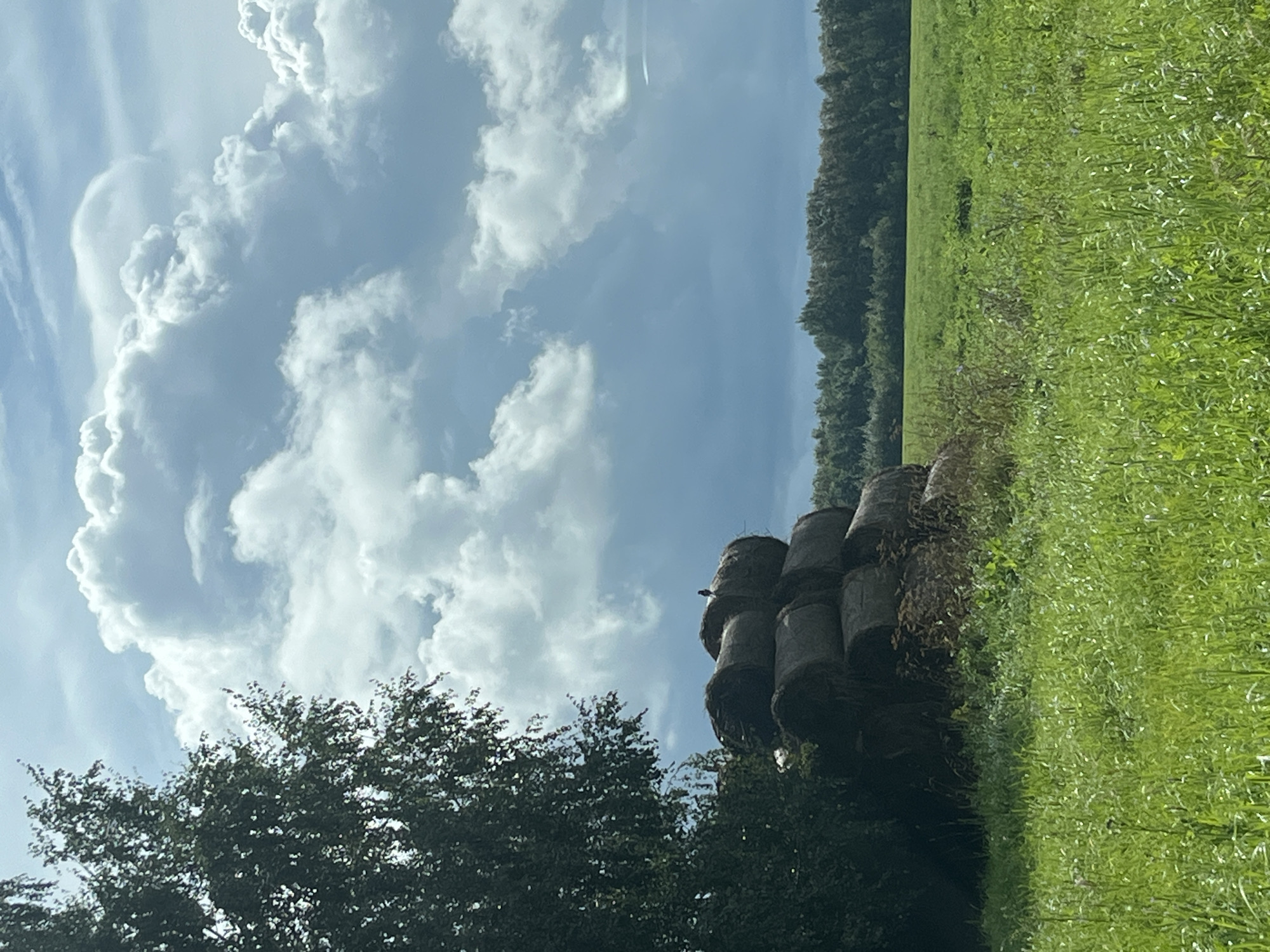 The image depicts a rural landscape with a stack of hay bales in a field. A single bird is perched atop the highest bale. The field is covered in green grass, and a dense line of trees forms the horizon in the background. The sky above is dramatic, filled with large, white, and grey cumulus clouds. The lighting suggests it might be late afternoon or early evening. There is a tree on the left side of the frame, partially obscuring the sky. There are no people or man-made structures visible in the immediate vicinity of the hay bales. The image is taken from a low angle, emphasizing the size of the hay bales and the expanse of the sky. The location is described as Kipchak, Russia, which suggests a rural setting in that region.