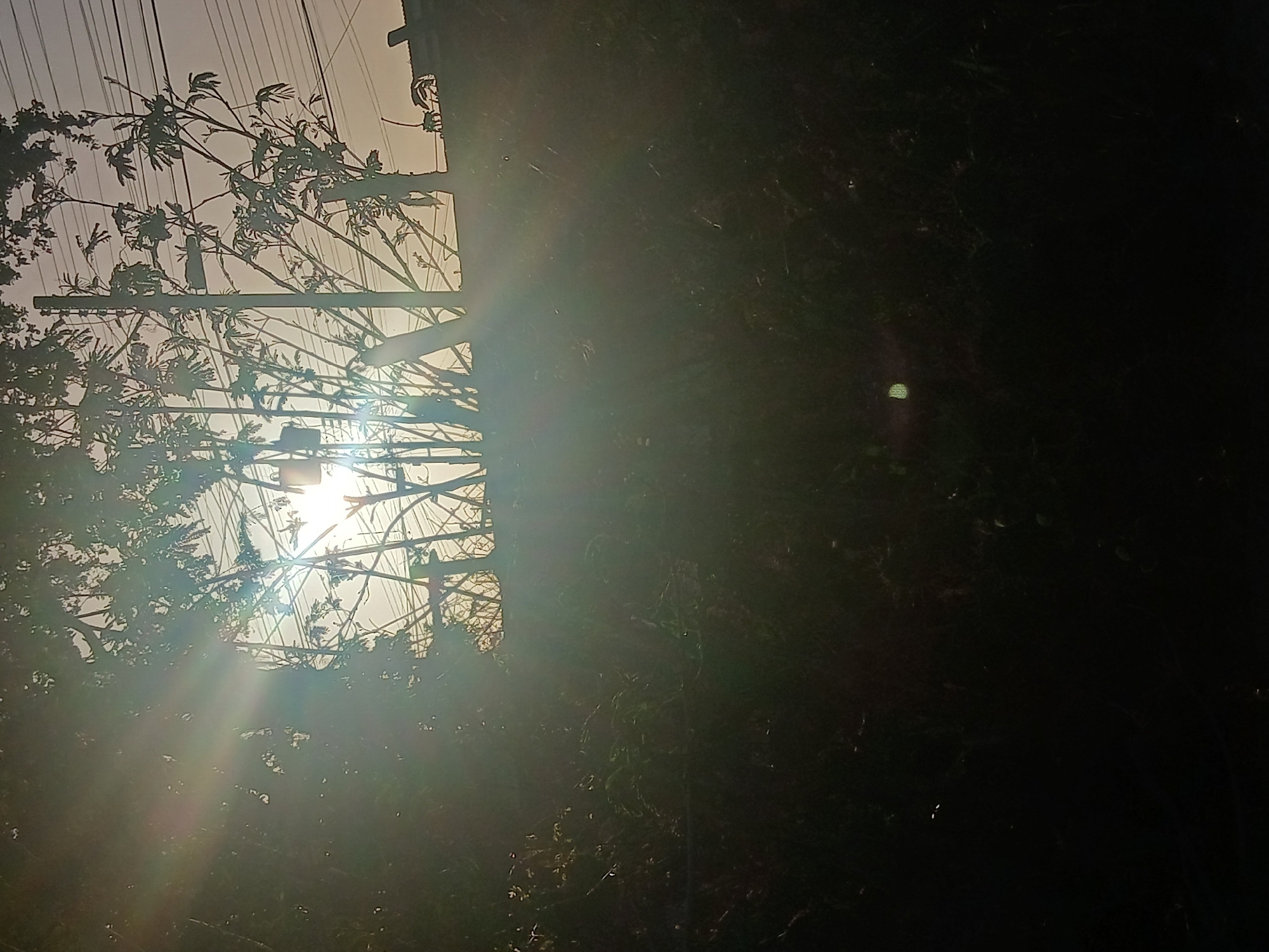 The image captures a silhouette of vegetation and utility poles against a bright, hazy sky, likely taken at dawn or dusk. Sunbeams are visible, cutting through the foliage and creating a lens flare effect. In the distance, there are power lines strung between poles. The foreground is dark and indistinct, appearing to be a patch of overgrown ground. The scene suggests an outdoor environment, possibly on the outskirts of a residential area or a more rural part of Juan Griego, Venezuela, given the presence of utility infrastructure. There are no discernible people or specific actions depicted.