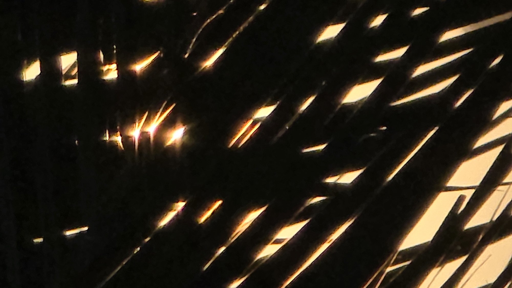 The image shows a close-up view of dark, linear elements silhouetted against a bright, possibly sunset-lit background. These elements are likely the fronds of a palm tree, common in coastal areas. The bright background is visible through the gaps between the fronds, creating patterns of light. The location is suggested to be Bắc Nha Trang, Vietnam, implying this is a coastal or tropical environment. No people or other specific objects are discernible beyond the vegetation and light.