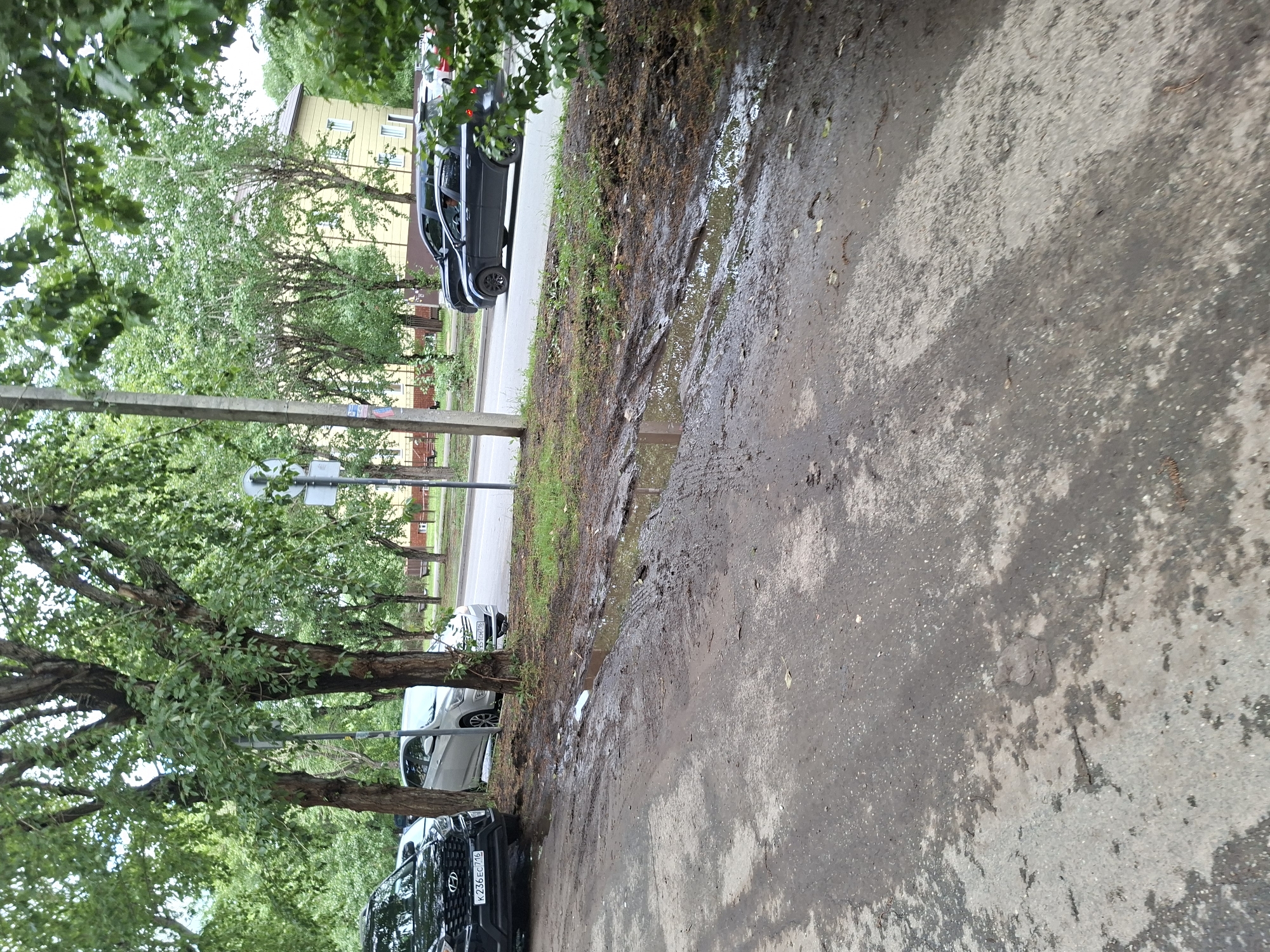 The image depicts a street scene in Kazan, Russia, likely on a cloudy or overcast day, as indicated by the muted lighting and the presence of puddles on the ground. The perspective is low, looking from the side of the road towards the pavement and a row of parked cars.
The foreground is dominated by a wet, muddy, and somewhat uneven paved surface, with visible tire tracks and scattered leaves. Adjacent to the pavement is a strip of muddy ground with sparse grass and vegetation, leading up to a row of trees. The trees are full of green leaves, suggesting it is summer or late spring.
Parked along the side of the road are several cars. The closest visible car is a dark-colored SUV with a license plate that reads "K236EC 716". Next to it is a lighter-colored car, possibly silver, with a visible license plate. Further down the street, another dark-colored car is parked. Beyond the cars and trees, a building with a yellow facade and brown trim is visible, with several windows. A light pole with some signage is also present.
The scene appears to be a residential street or an area adjacent to a park or green space, given the trees and the building. The puddles and wet ground suggest recent rainfall. There are no people visible in the frame. The overall mood is calm and ordinary, capturing a typical urban street scene after a period of wet weather.