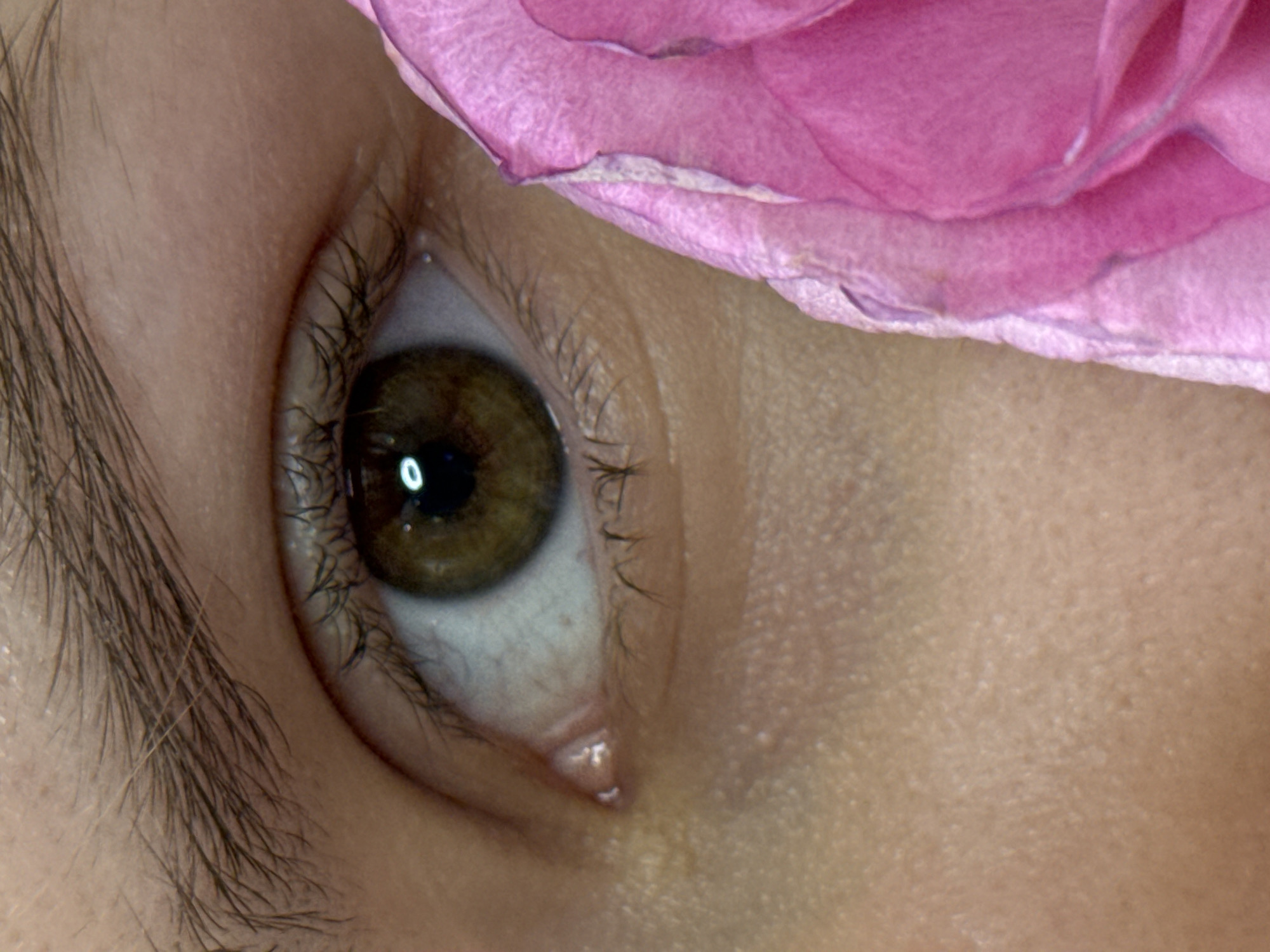 A close-up macro photograph captures a person's left eye and a portion of a pink flower. The eye is the central focus, with a brown iris and a bright white reflection in the pupil. Eyelashes frame the eye, and the skin is visible in detail, showing texture and a few small imperfections. To the right of the eye, the soft, velvety petals of a pink flower are prominent, creating a gentle contrast with the human skin. The lighting is soft, highlighting the delicate details of both the eye and the flower.