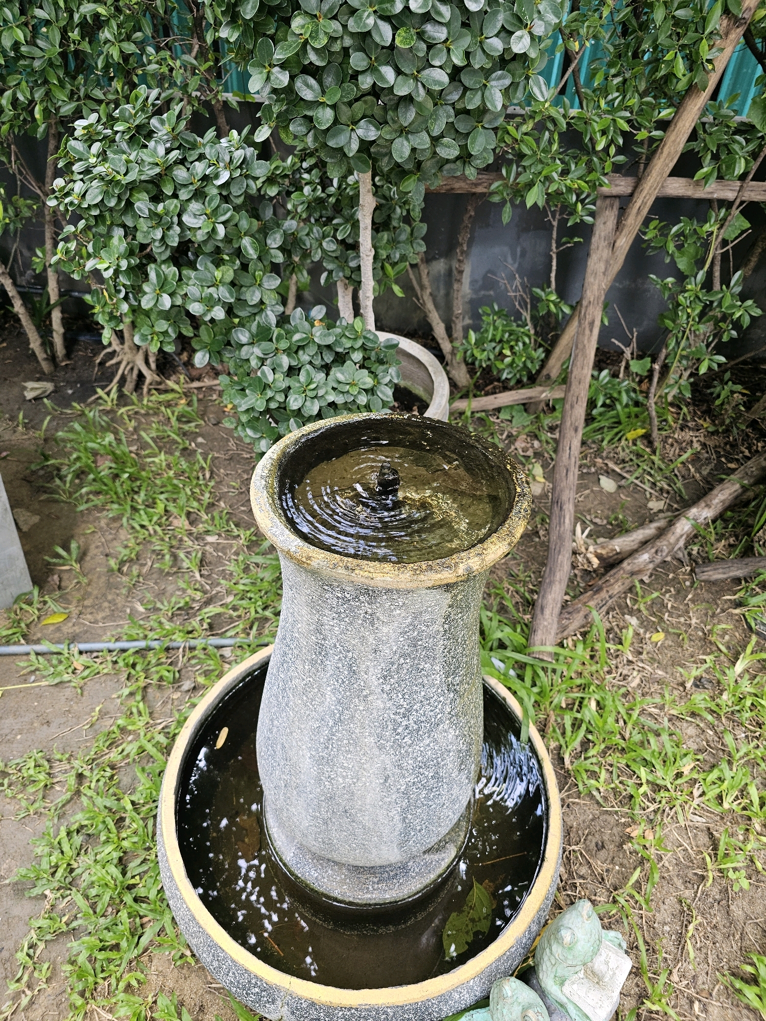 The image shows a small, tiered stone fountain in an outdoor garden setting. The fountain is made of speckled gray stone and has a rounded base and a taller, vase-shaped top. Water is flowing into the top tier, creating ripples on the surface, and overflowing into the bottom basin. The garden is filled with lush green foliage, including a bushy plant with small, rounded leaves dominating the background. There are also several dead branches and some patchy grass on the ground. The setting appears to be residential or part of a small park. The overall impression is one of a tranquil, perhaps slightly overgrown, garden corner. Based on the presence of tropical-looking plants and the style of the garden elements, this scene is likely located in Bangkok, Thailand. There are no people or animals visible in the immediate vicinity of the fountain, although a green decorative frog is partially visible in the lower right corner.