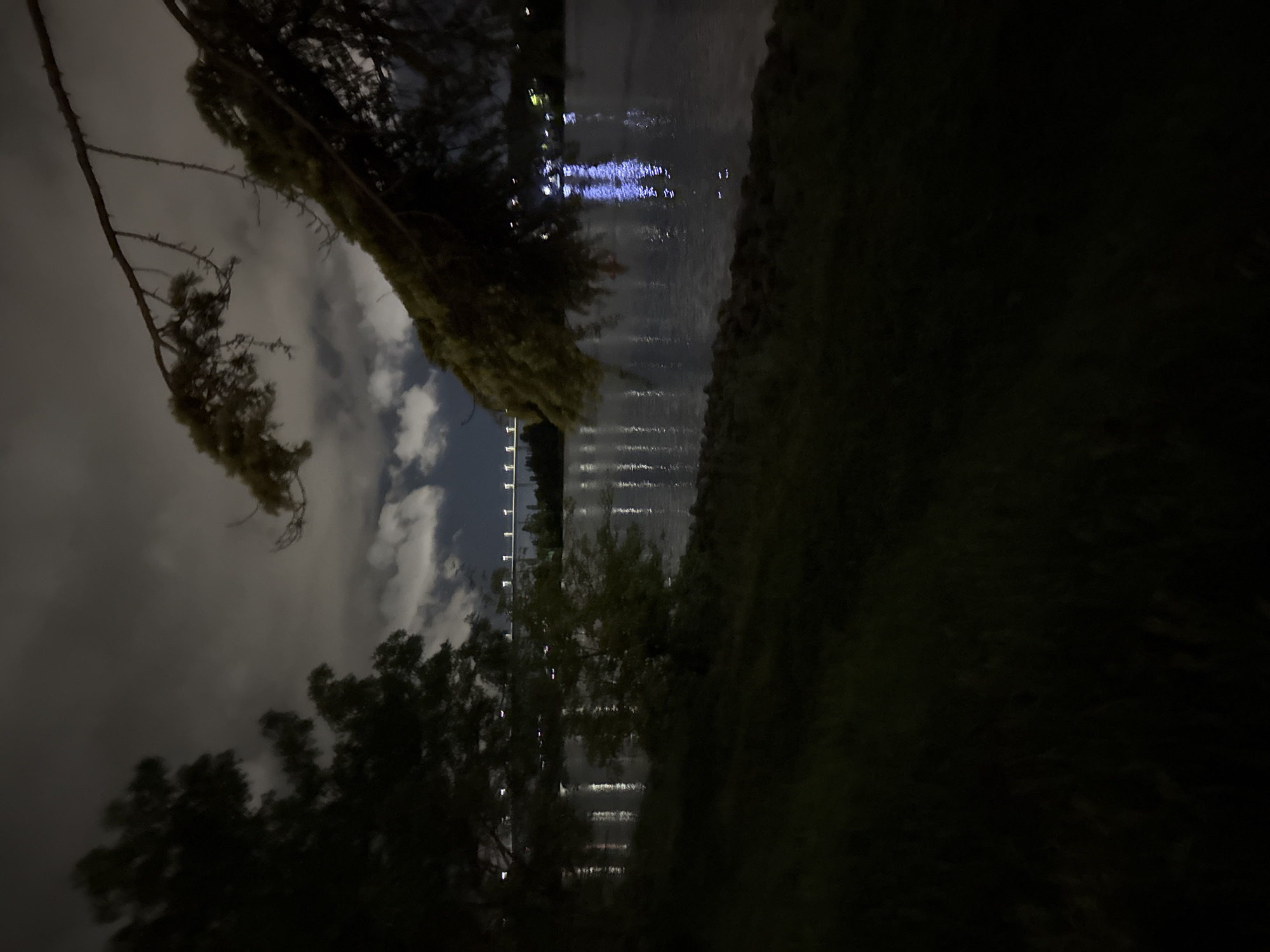 This is a nighttime photograph taken from a grassy embankment overlooking a body of water. In the foreground, dark green grass covers the ground, with a few rocks visible near the water's edge. Two trees, silhouetted against the dimly lit sky, frame the scene. One tree is on the left, its branches reaching towards the center, and another is on the right, with a large branch extending diagonally across the upper portion of the image.
The water in the middle ground reflects the lights from a distant bridge. This bridge appears to be illuminated by a series of evenly spaced lights. On the far bank of the water, more lights suggest a developed area, possibly buildings or other structures, also reflected in the water. The sky is cloudy, with some lighter patches indicating the presence of moonlight or distant city lights filtering through. The overall atmosphere is dark and somewhat moody, typical of a night scene.
This image is likely taken from the area of the Primorski Park in Varna, Bulgaria, looking across the Black Sea towards the Varna Bridge. The park itself is situated along the coast, and the bridge is a prominent landmark in the city.
