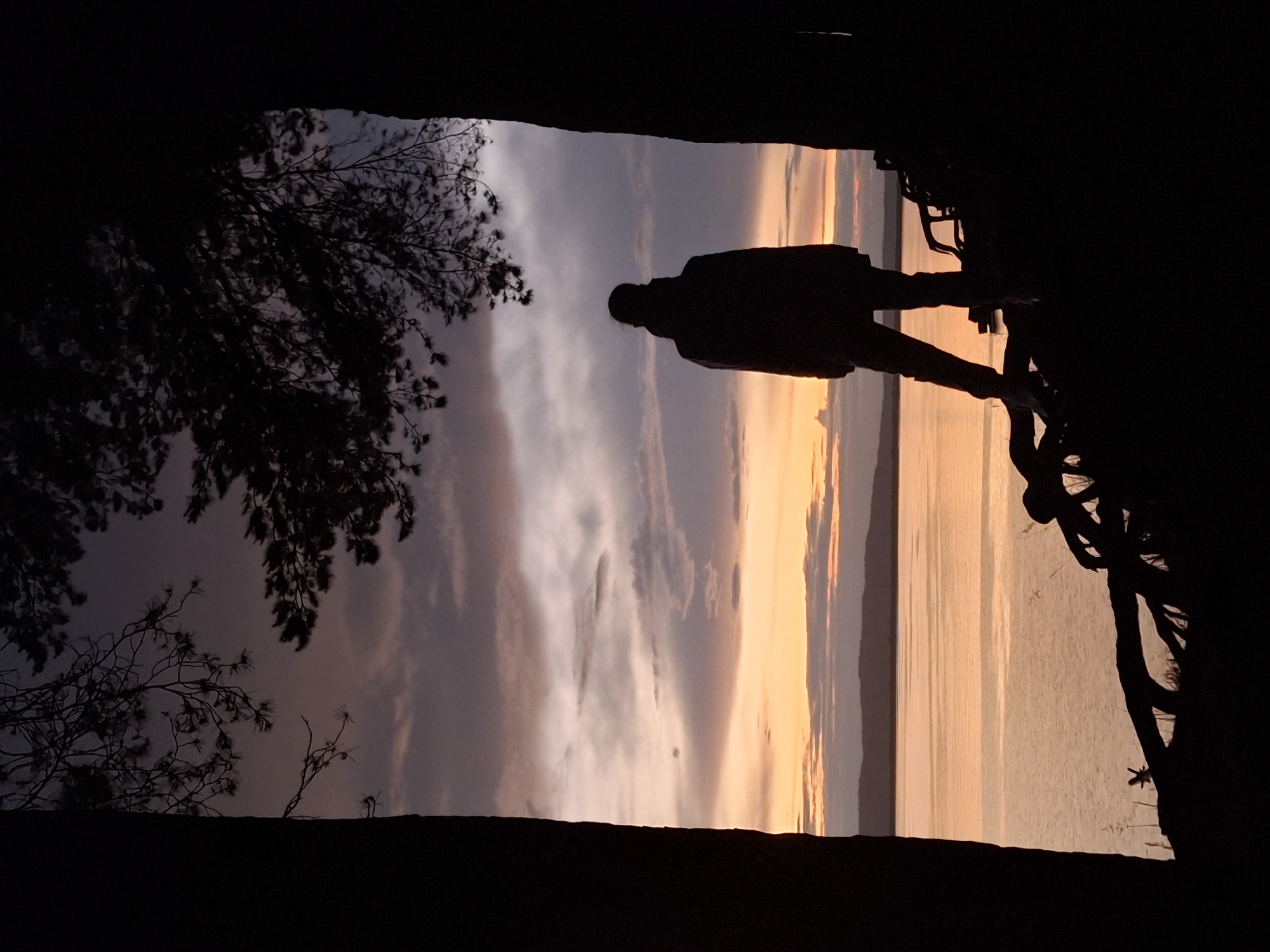 The image depicts a striking natural landscape at either sunrise or sunset, with a lone silhouetted figure observing a vast body of water. The scene is framed by dark, silhouetted trees and foliage on the left and partially on the right, creating a natural viewport.
The central subject is a person, seen from behind, standing on what appears to be an elevated shoreline or cliff edge, looking out over the horizon. Their entire form is a dark silhouette against the bright light, suggesting a contemplative posture.
The sky is a prominent feature, displaying a gradient of colors typical of dawn or dusk: warm oranges and yellows near the horizon, transitioning into soft purples, greys, and blues higher up, with scattered clouds adding texture. A large body of water, likely a lake or reservoir, stretches across the middle ground, reflecting the sky's colors with subtle ripples. In the distant background, a faint line of land or mountains is visible on the far horizon across the water.
The foreground is dominated by the dark silhouettes of dense tree branches and foliage, particularly on the left side, which appear to be coniferous. These dark elements contrast sharply with the illuminated sky and water, enhancing the sense of depth and focus on the distant view.
The time of day is clearly either sunrise or sunset, characterized by the dramatic and colorful sky and the strong backlighting. The atmosphere is calm and serene, evoking a sense of peaceful observation or solitude. No visible text is present. The location context indicates this scene is near Chaikovsky, Russia, which aligns with the view over a large body of water like the Kama Reservoir.