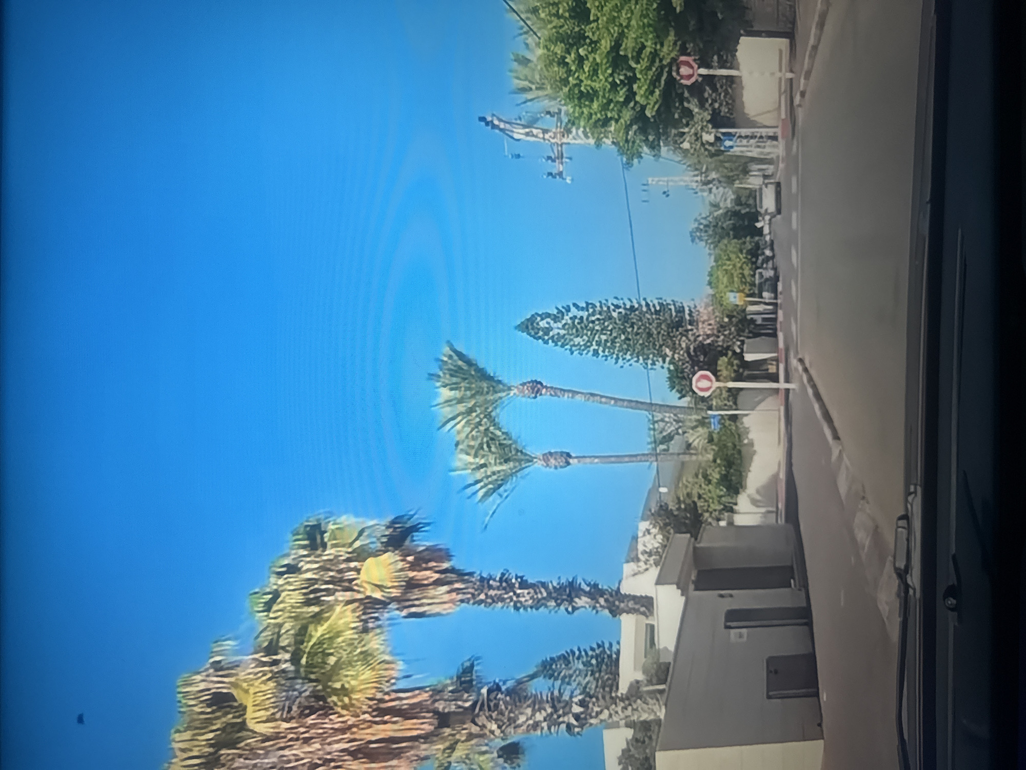 The media file depicts a street scene in Herzliya, Israel. The primary subjects are several tall palm trees with lush green fronds, silhouetted against a bright blue sky. The trees appear to be on the side of a paved road, with a sidewalk and some buildings visible to the right of the frame. There are also street signs visible, one of which appears to be a stop sign. The image seems to be taken from a vehicle, indicated by the presence of a windshield wiper on the right side. The sunlight suggests it is daytime, and the clear sky implies fair weather. The overall impression is one of a sunny day in a residential or urban area with significant vegetation. There is no visible text in the media file.