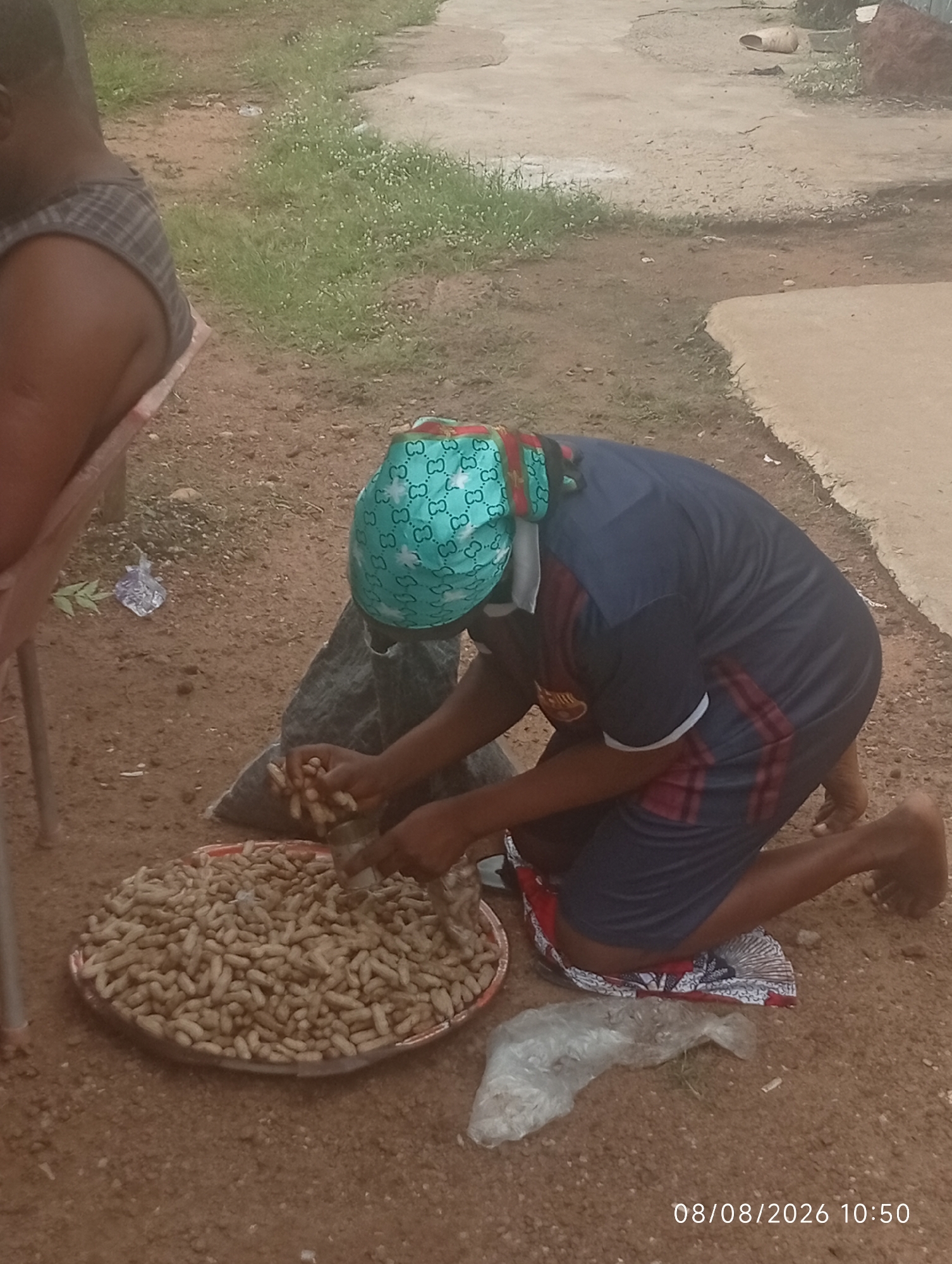 In Adankolo, Nigeria, a person wearing a blue and red striped shirt and a teal headscarf kneels on the ground. The individual is engaged in processing a large tray of peanuts, holding a few in their hands while working. The ground is covered in dirt and small stones, with a patch of green grass and some white flowers visible in the background. A person's back is visible in the upper left corner, seated and wearing a plaid shirt. The overall setting appears to be an outdoor, informal space.