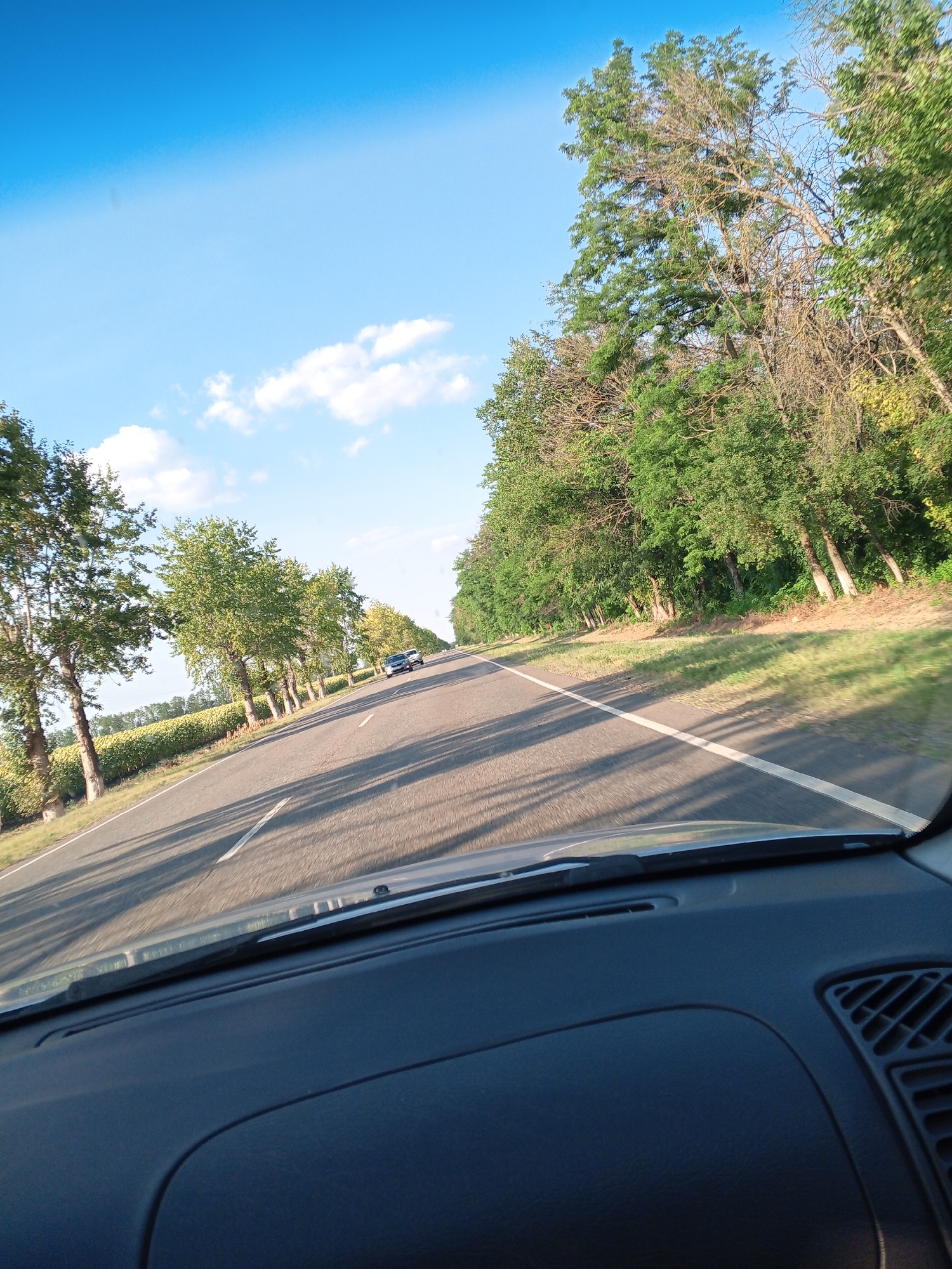 The image depicts a view from inside a vehicle traveling on a paved road lined with trees and a field of crops. The sky is blue with scattered white clouds. Two dark-colored cars are visible ahead on the road, traveling in the same direction as the viewer's vehicle. The sun casts long shadows across the road and the surrounding grass. The interior of the vehicle, including the dashboard, is visible in the foreground. The overall impression is of a scenic drive on a sunny day.
