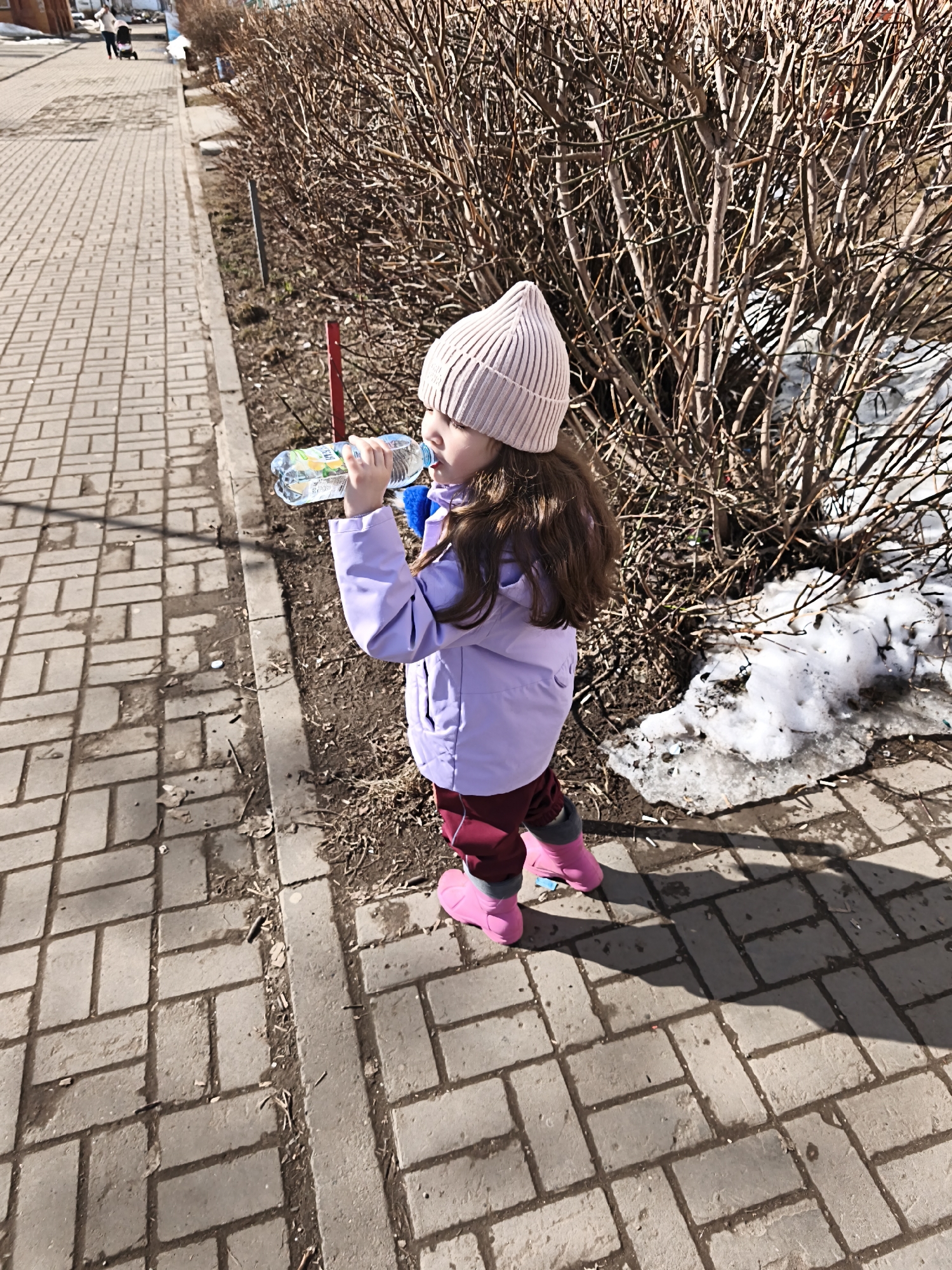 A young child is depicted outdoors on a sunny day in Chaikovsky, Russia, standing on a paved sidewalk next to a strip of dirt and bare bushes. The child, with medium-length brown hair, wears a light pink beanie, a light purple jacket, dark red pants, and bright pink boots. The child holds a clear plastic water bottle with a blue cap and a yellow-orange label, actively drinking from it.
To the child's immediate right, a narrow dirt strip separates the sidewalk from a dense row of deciduous bushes with bare branches. Patches of melting snow are visible at the base of the bushes. A red pole and a grey pole protrude from the ground near the bushes. The sidewalk is constructed from rectangular grey paving stones. Further down the sidewalk, in the background, another individual is pushing a dark-colored stroller. Bright sunlight casts distinct shadows of the child and foliage onto the pavement.