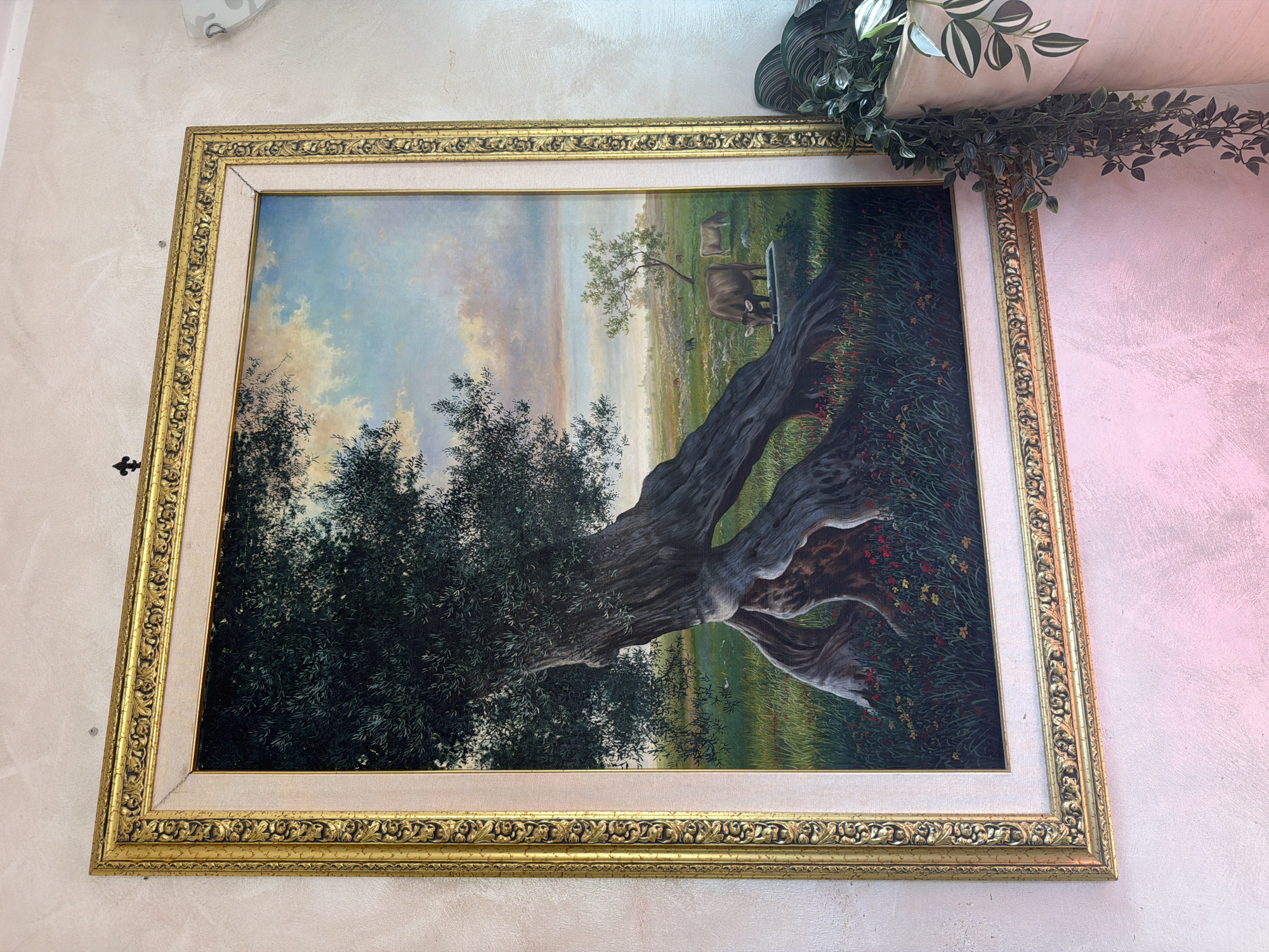 The image depicts a framed painting hanging on a textured, light-colored wall. The painting is a landscape scene featuring a large, gnarled olive tree in the foreground. The tree has a thick, twisted trunk and branches that extend upwards, partially obscuring the sky. The ground is covered in green grass with scattered red and yellow wildflowers. In the middle ground, there are a few cows grazing in a field, with a small tree in the distance. The sky is partly cloudy with hues of blue, white, and soft yellow. The painting is enclosed in an ornate, golden frame.
Below and to the right of the painting, a section of a pink-colored wall is visible, with artificial green plants cascading down. The overall setting appears to be indoors, possibly a room in Matera, Italy, given the characteristic textured walls often found in the Sassi districts of the city. There are no people visible in the scene. The focus is on the artwork and its immediate surroundings.