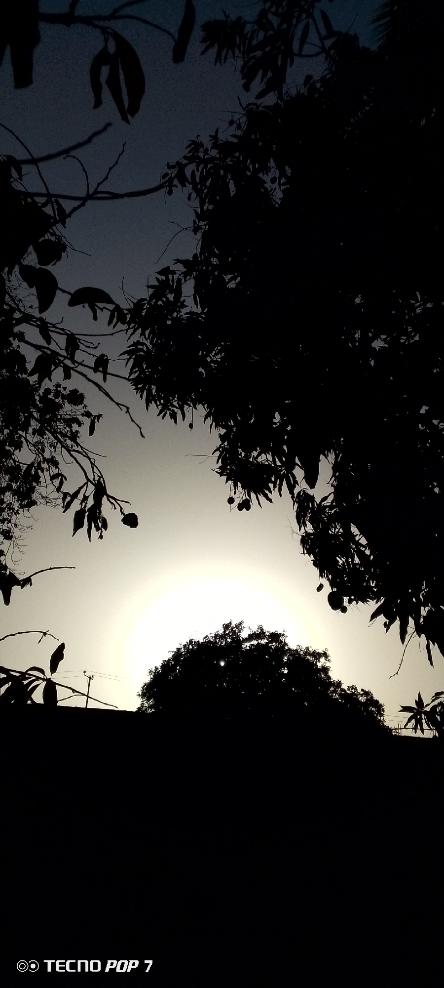 The image depicts a silhouetted view of trees against a bright, circular light source, possibly the sun or moon. The foreground is largely dark, obscuring details except for the outlines of leaves and branches. The background sky varies in brightness, with lighter tones surrounding the light source and darker shades towards the top of the frame. The word "TECNO POP 7" is visible in the lower left corner. Based on the prompt, the location is Altagracia, Venezuela, though this is not discernible from the image itself.