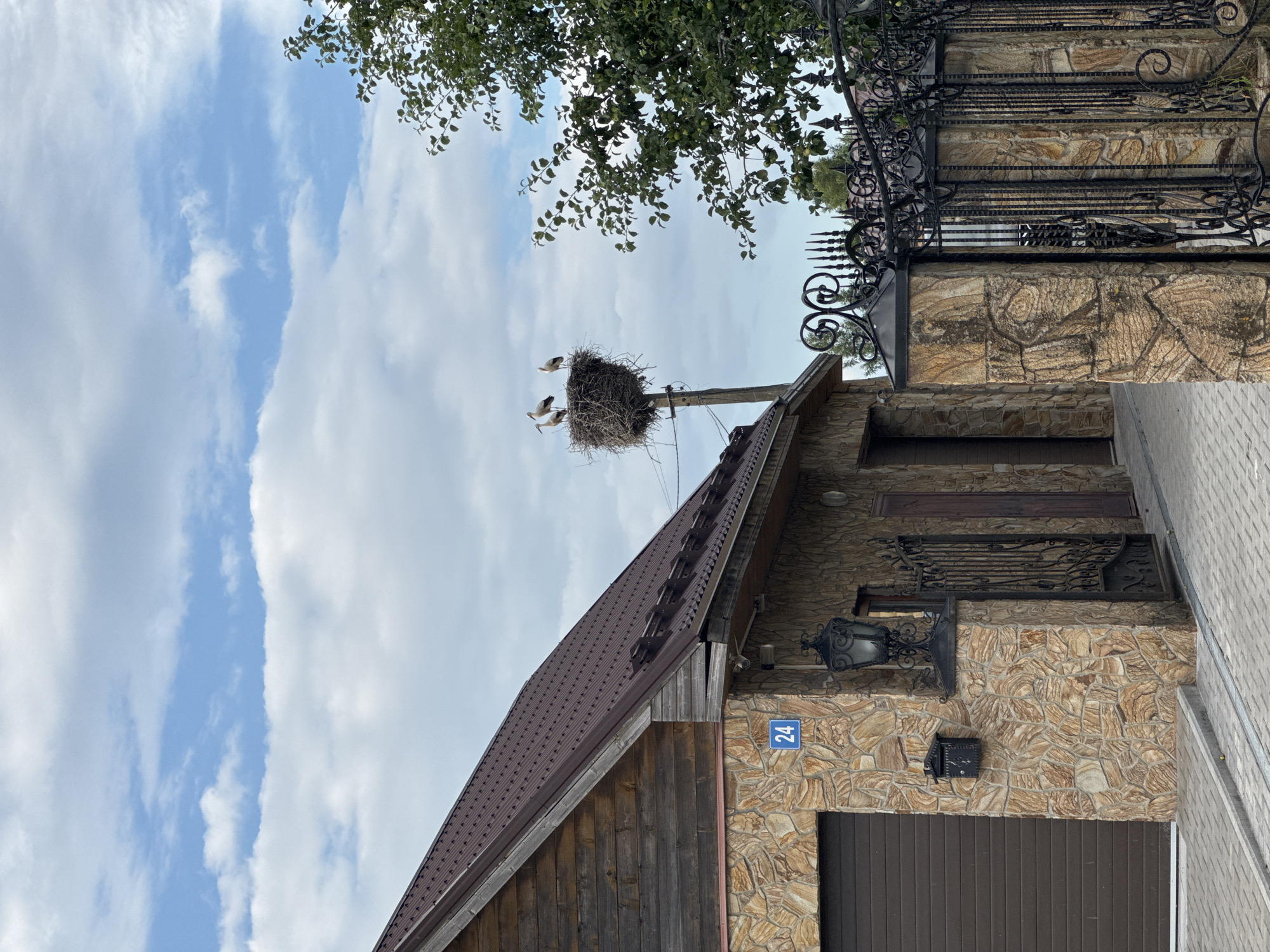 A photograph taken in Sitno, Russia, captures a scene featuring a house with a stone facade and a wooden upper section under a cloudy sky. The house has a dark brown metal roof, a brown garage door, and an ornate black lantern mounted on the stone wall. A blue house number sign, "24", is visible above the garage.
In the middle ground, a large stork's nest sits atop a utility pole. Three storks are perched within the nest. To the right, a portion of a leafy green tree is visible. In the foreground, a decorative black metal gate with stone pillars stands on the right side of the image, partially obscuring a paved walkway leading to the house. The ground is paved with interlocking concrete blocks.