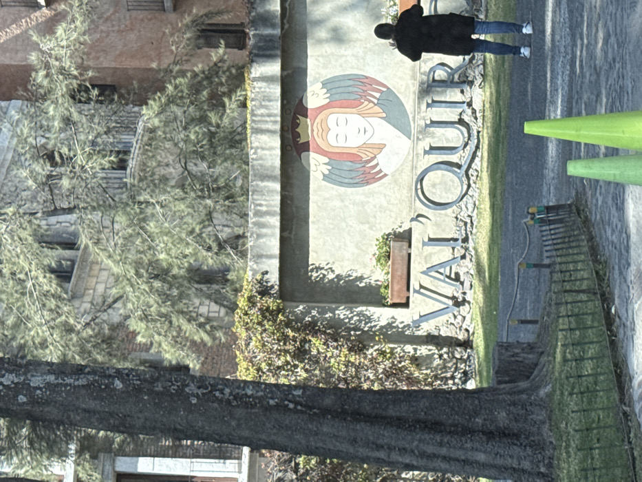 A sign for "VAL D'OUR" features an emblem of a woman with wings. A person in a dark coat and jeans stands in the background. The sign is set against a textured wall. A tree trunk appears in the foreground. Vegetation grows around the sign. Green traffic cones stand on a paved area, near a metal bench. Buildings are visible in the background, partially obscured by foliage.