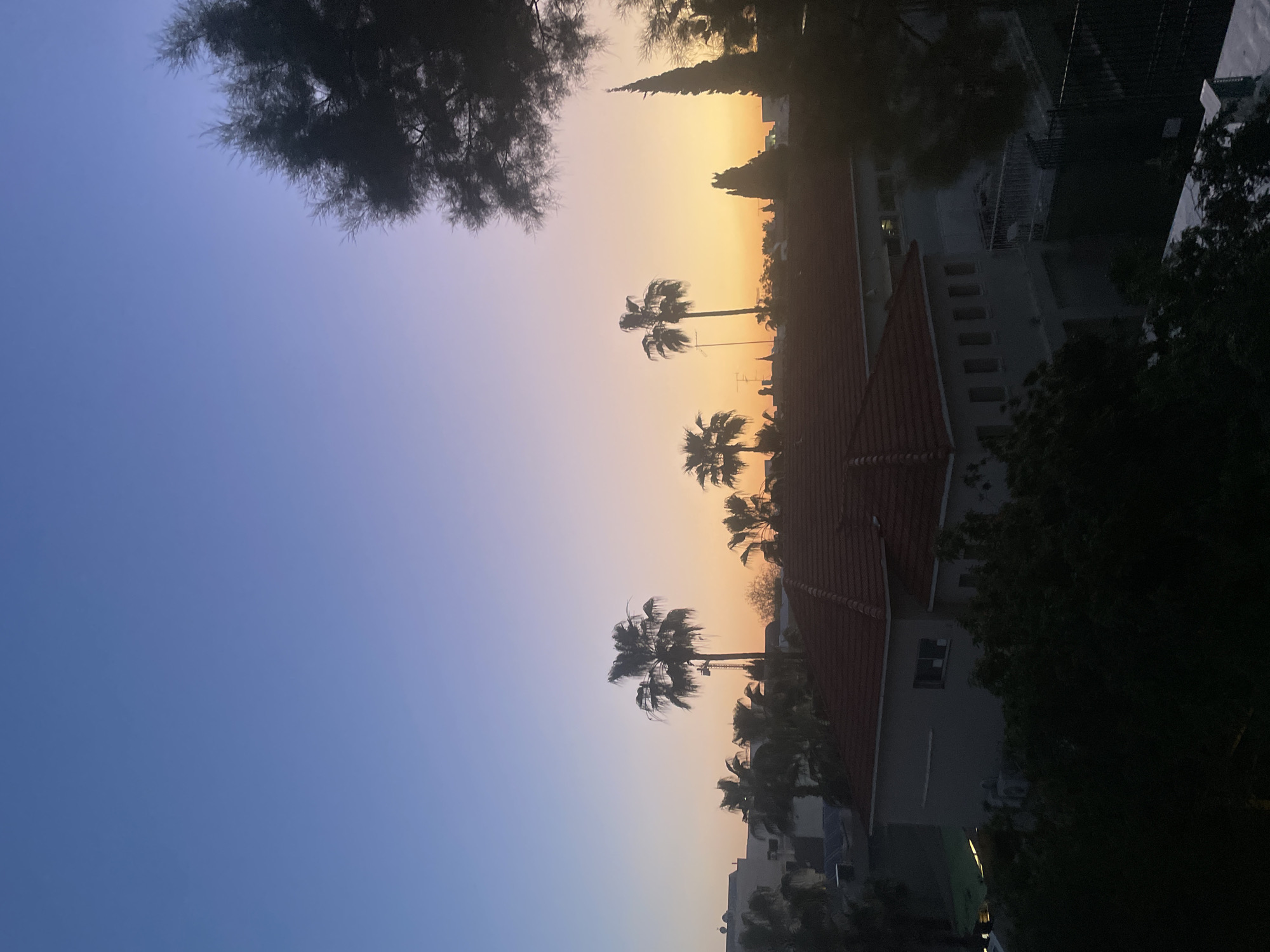 The image presents an elevated wide shot of a residential area in Raanana, Israel, captured during the twilight period. The sky transitions from a deep blue at the top left to a vivid gradient of orange and purple-pink at the horizon on the right. A prominent two-story building with a red-tiled gabled roof and light-colored walls is centrally located in the midground, displaying multiple rectangular windows on one facade. Numerous palm trees are silhouetted against the colorful sky, with at least three notably tall examples visible, one of which stands adjacent to a vertical mast or antenna structure. Additional buildings, some with flat roofs and faint rooftop antennae, are discernible in the background. Dense, dark foliage, likely from a large tree, occupies the upper right portion of the frame, partially obscuring the horizon. A white metal balcony railing and a dark fence line are visible in the lower right midground. No individuals or specific actions are discernible within the frame.