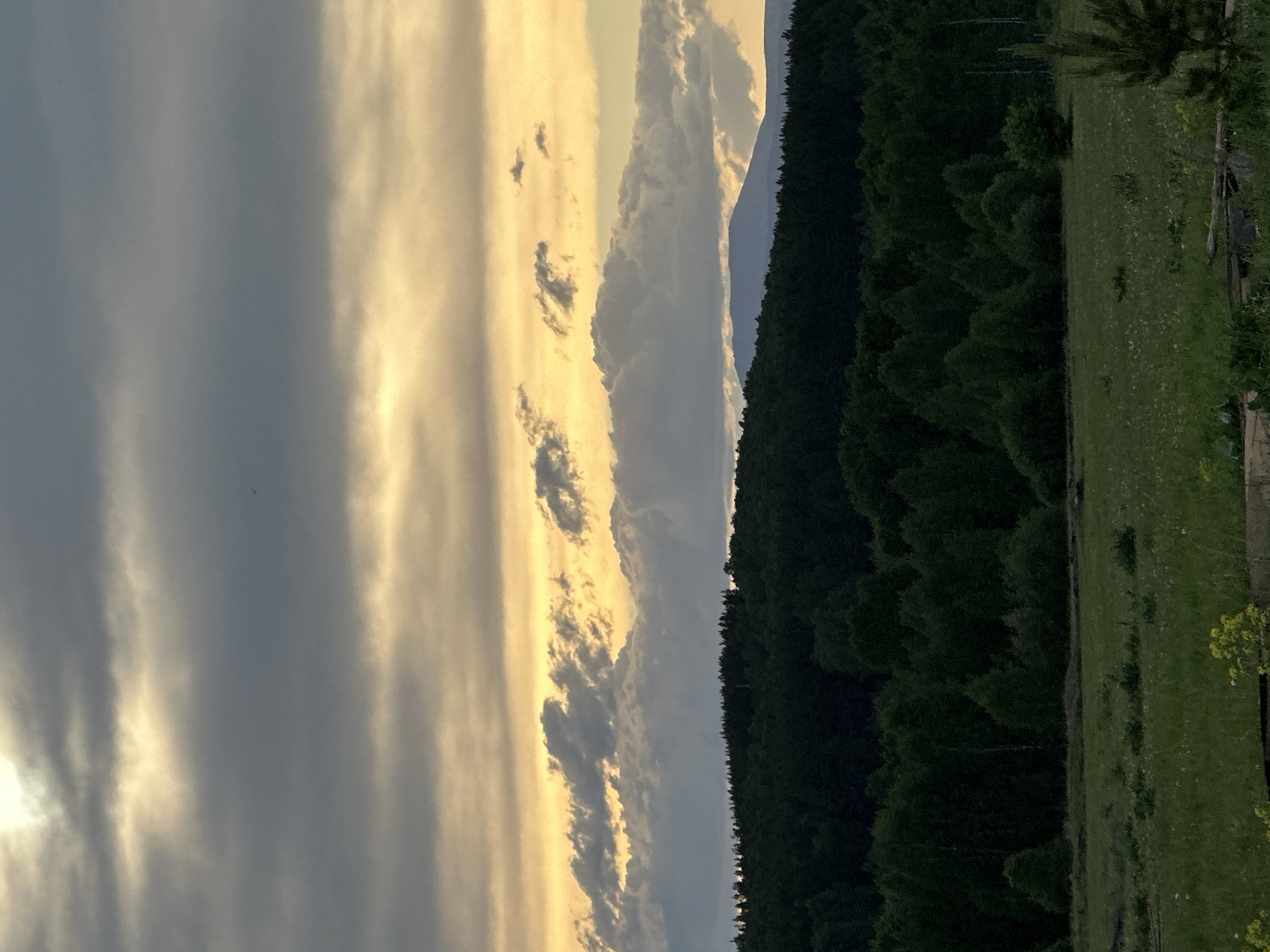 The image shows a landscape with a forested area on the right, a grassy field in the foreground, and a dramatic sky on the left. The sky has a mix of grey and gold-colored clouds, suggesting a sunset or sunrise. There is a suggestion of a mountain range behind the clouds.