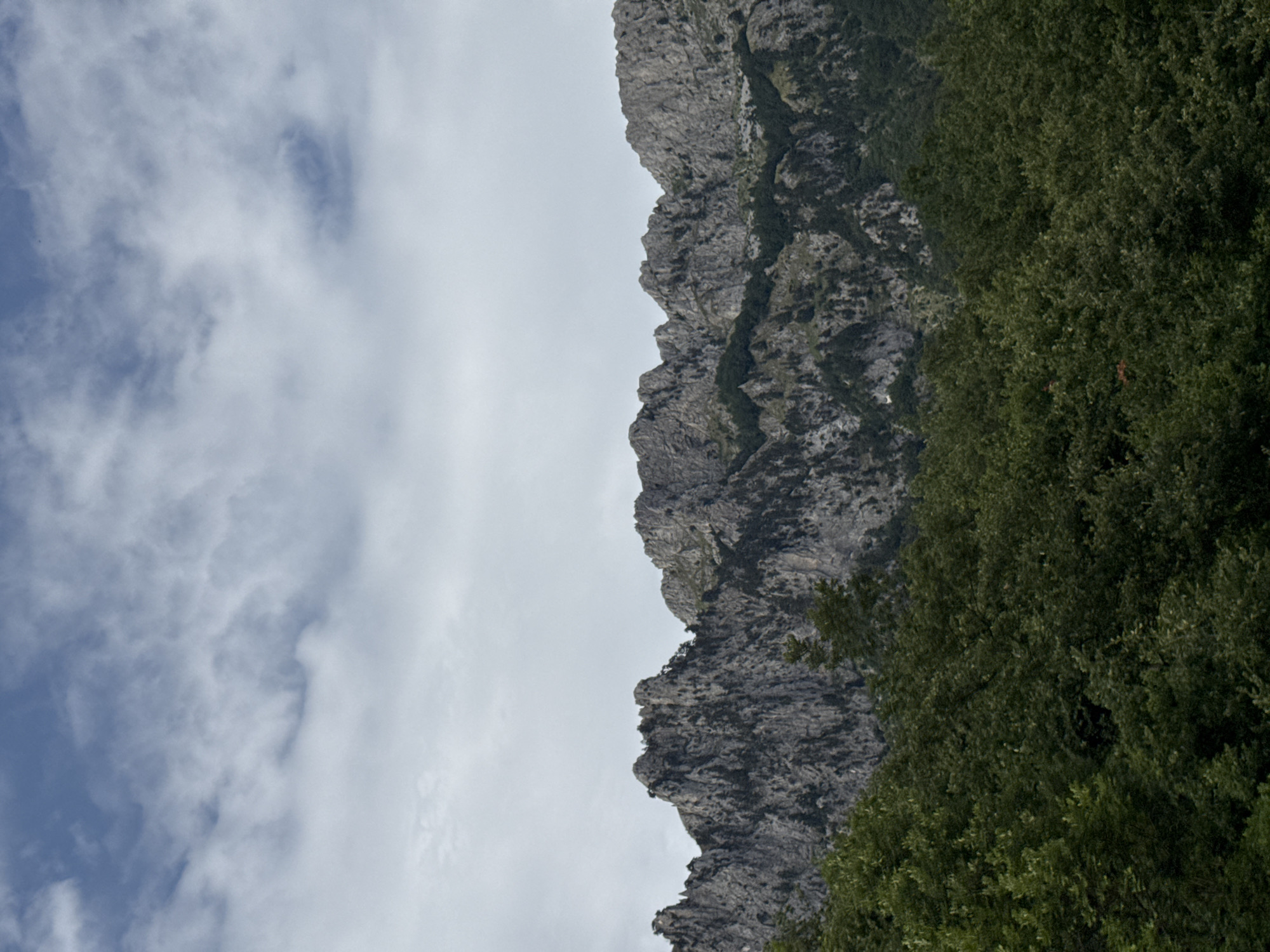 The image shows a rugged, rocky mountain range covered in dark green foliage, with a cloudy sky overhead. The mountains are jagged and appear to be composed of grey stone, with patches of darker vegetation clinging to their slopes. In the foreground, a dense forest of trees with dark green leaves stretches across the bottom of the frame. The sky above is filled with a mix of white and grey clouds, suggesting an overcast or partially cloudy day. There are no people or discernible man-made objects in the scene. The image is a landscape photograph of a natural, mountainous environment.