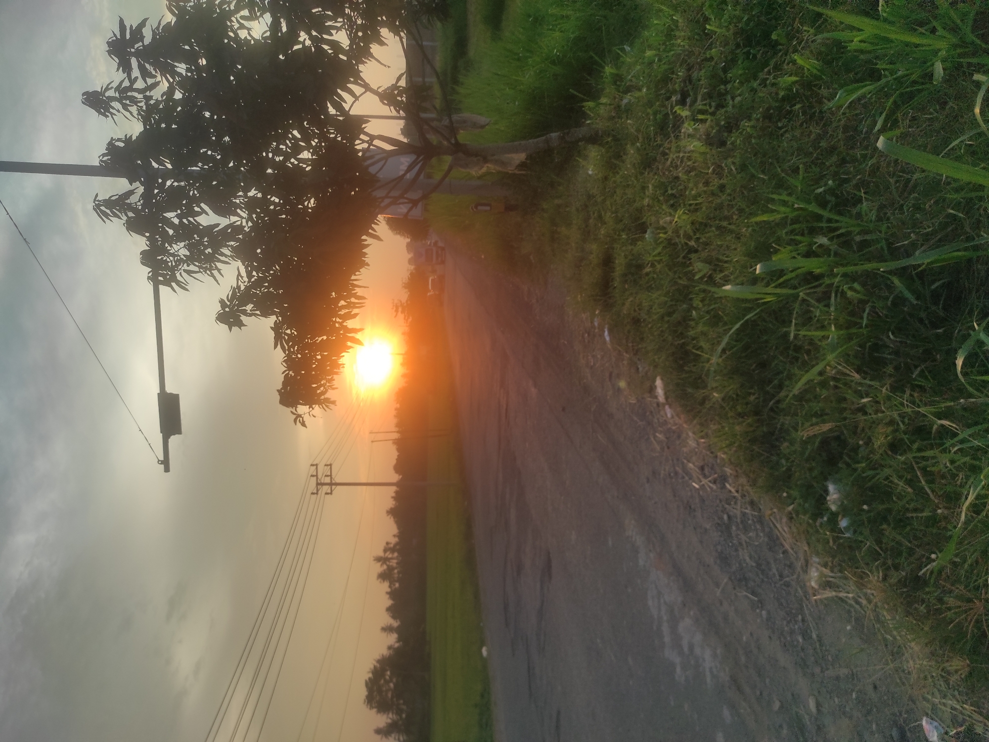 The image, rotated 90 degrees clockwise, captures a serene rural or semi-rural landscape during sunset or sunrise. The horizon effectively runs vertically down the center of the frame.
On the left side of the image, the sky is dominated by the bright, intense glow of the sun, which is a vivid orange-yellow. The sun is partially obscured by the dark silhouette of a large, leafy tree occupying the upper left quadrant. The sky around the sun radiates warm hues, fading into lighter greys and blues with scattered clouds further from the light source. A utility pole with a black rectangular box attached and overhead wires is visible in the upper mid-left, extending downwards.
A narrow, unpaved or weathered asphalt road cuts diagonally across the middle of the image, leading from the foreground towards the distant horizon. Its surface appears worn, with varying textures of dirt and small stones. To the immediate right of the road, a thick strip of lush green grass and wild vegetation thrives, with some dried grass and small bits of debris visible near the roadside. In the distance, along the right side, more expansive green fields, likely rice paddies, stretch out, bordered by a dense line of silhouetted trees, some possibly palm trees. Several other utility poles with electrical wires are seen further down the road, creating parallel lines against the glowing sky.
The time of day is clearly sunset or sunrise, given the low, intensely bright sun and the warm, golden light bathing the scene. The weather appears clear with some clouds. There is no visible human activity or text. The location context of Lhokseumawe, Indonesia, aligns with the tropical vegetation and rural setting. The image evokes a sense of tranquility and the natural beauty of the landscape at golden hour.