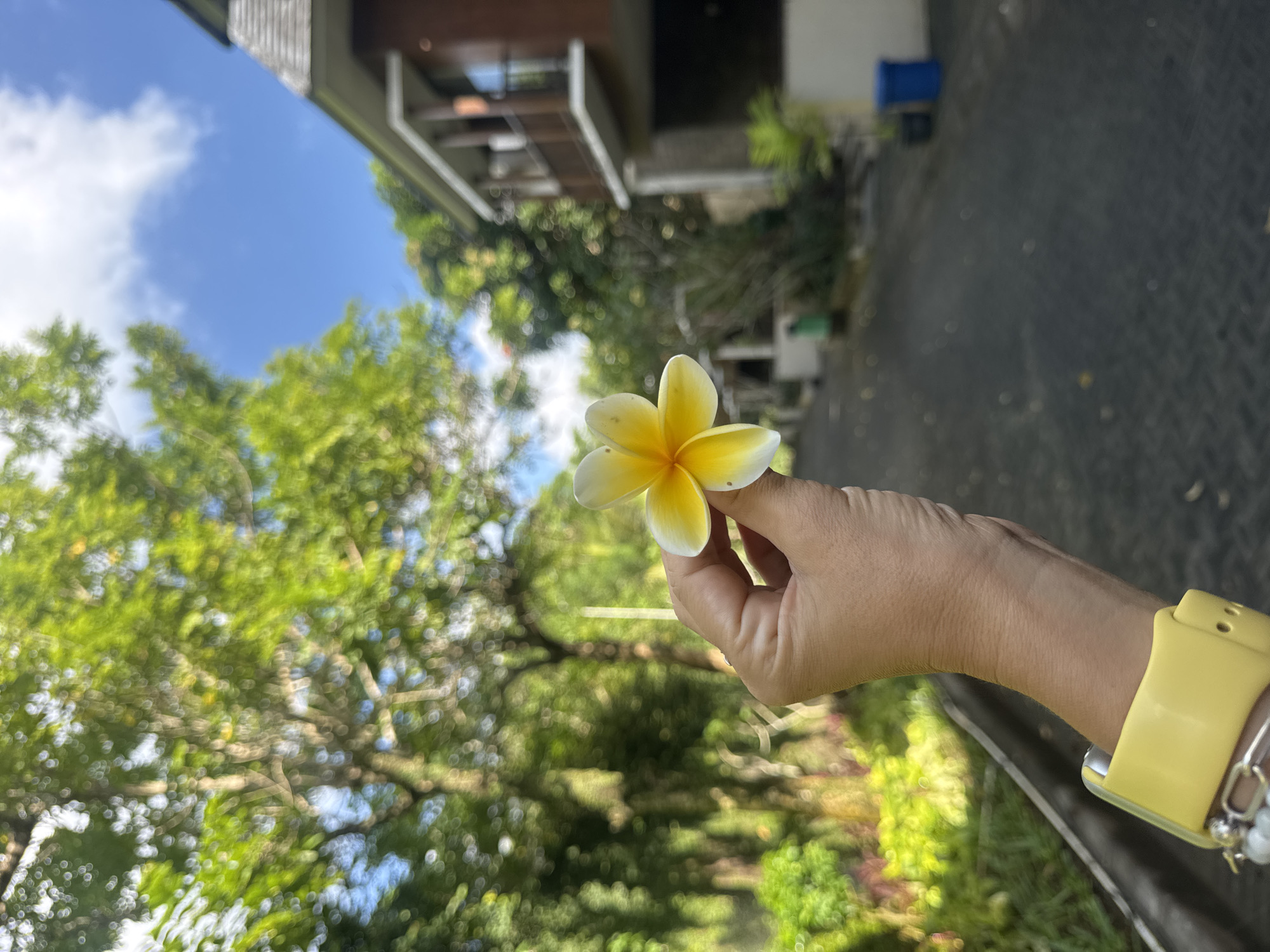 A hand wearing a yellow watch band holds a yellow and white plumeria flower in the foreground. The background features a blurred view of lush green trees, a paved walkway, and a multi-story building with a brown facade and balconies. The sky above is blue with scattered white clouds. The location is identified as Kuta Selatan, Indonesia.