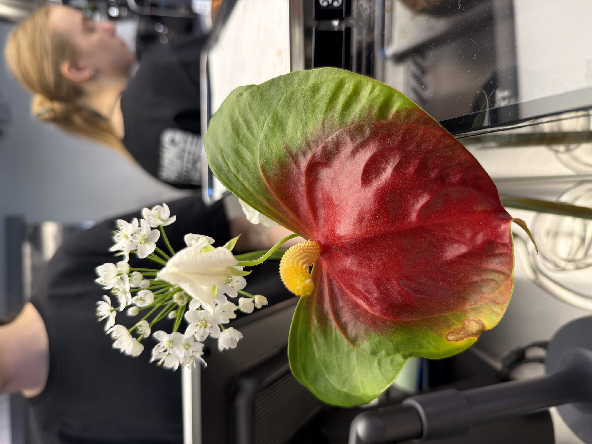 The image presents a close-up of floral arrangement. Dominating the composition is a single Anthurium flower, exhibiting a heart-shaped red spathe with a yellow spadix. Adjacent to the Anthurium is a cluster of small white flowers with multiple blooms on thin stems.
The background includes a blurry, partially visible individual with light blonde hair pulled back in a ponytail, wearing a black top. The surrounding environment appears to be an office or workspace setting with the presence of office equipment and reflective surfaces.
There is no information to suggest that this image was taken in the city of Izhevsk, Russia.
