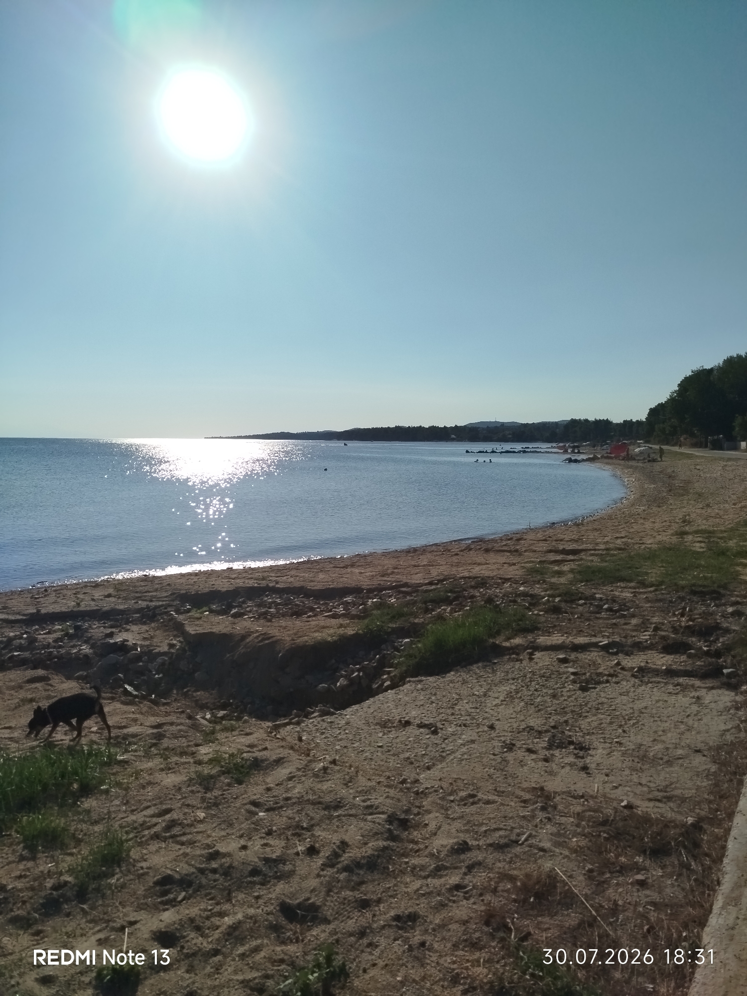 This is a wide-angle, eye-level, outdoor, daytime photograph taken on a beach in Sithonia Municipal Unit, Greece. The scene depicts a serene coastal landscape under a clear, bright blue sky with the sun high and prominent in the upper left quadrant, casting a strong glare and reflection on the calm, blue water. The shoreline is a sandy beach with scattered rocks and some vegetation.
In the foreground, a small black dog is walking on the sandy ground. Further along the beach, a gentle curve of the coastline leads to a more populated area where several people are visible near the water's edge and in shallow water. Some are swimming or wading, while others are standing or sitting on the beach. Red and possibly other colored umbrellas are set up on the sand. Trees line the far edge of the beach, and in the distance, a gentle hill or mountain range is visible under the horizon.
The overall impression is of a peaceful summer day at a seaside location. The image includes a timestamp and phone model watermark at the bottom: "REDMI Note 13 30.07.2026 18:31".