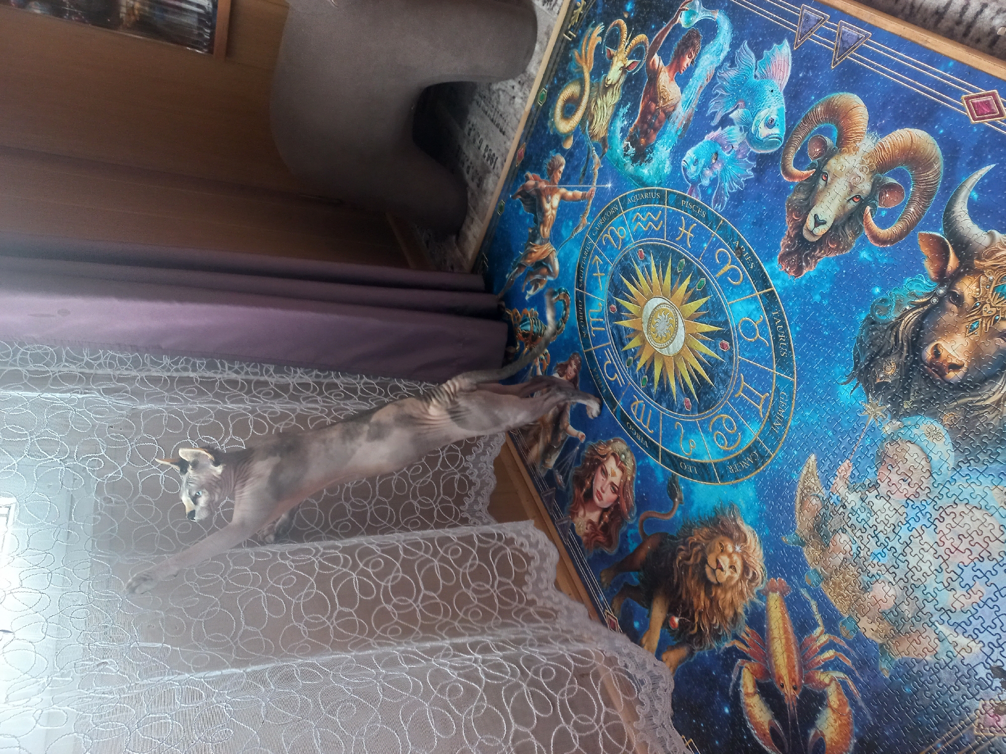 A slightly high-angle shot presents a domestic interior. A hairless cat strides across a lacy white surface, possibly a tablecloth or bedspread. Adjacent to the cat and the white surface is a puzzle depicting astrological signs in a circular arrangement. The puzzle is primarily blue with figures of zodiac signs. The setting appears to be indoors.