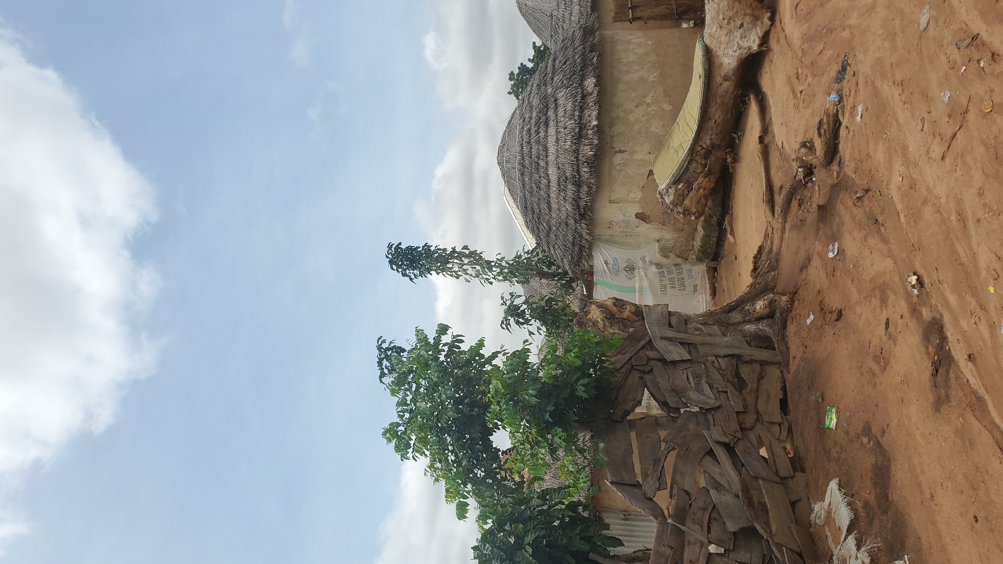 A low-angle outdoor, vertical, medium shot captures a scene in Jalingo, Nigeria, under a cloudy sky. In the foreground, reddish-brown dirt covers the ground, littered with various pieces of trash, including plastic wrappers and a few small objects. To the left, a tree with a thick, gnarled trunk and lush green foliage stands near a rustic fence made of irregularly shaped wooden planks. Behind the fence and tree, the main structures of the scene are visible. Two round buildings with thatched roofs are prominently featured. The building in the center has a tan-colored, textured wall, and a large, rough log lies in front of it, topped with a light green mat. A white sack with reversed text is partially visible against the building wall. To the right, another thatched-roof building is partially visible. A tall, slender tree with dark green leaves grows between the foreground tree and the buildings. The overall environment appears to be a rural or semi-rural settlement.