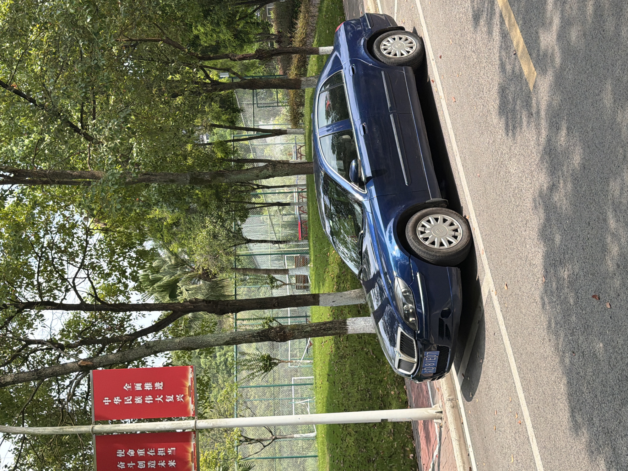 A blue sedan is parked on the side of a paved road in Jiangjin, China. The car, a Chinese brand, has its front facing right and is partially obscured by a lamppost and red banners. The banners, one with Chinese characters "中华民族伟大复兴" (Great Rejuvenation of the Chinese Nation) and another with "全面推进" (Comprehensively Promote), are attached to the lamppost, suggesting a public or civic area. The background features a grassy embankment with trees and a fence, possibly indicating a park or sports field. The road has white and yellow lane markings. The license plate of the car is visible and reads "D·81EQ7". No people are present in the image. The scene appears to be during daylight, with shadows cast by trees on the road.