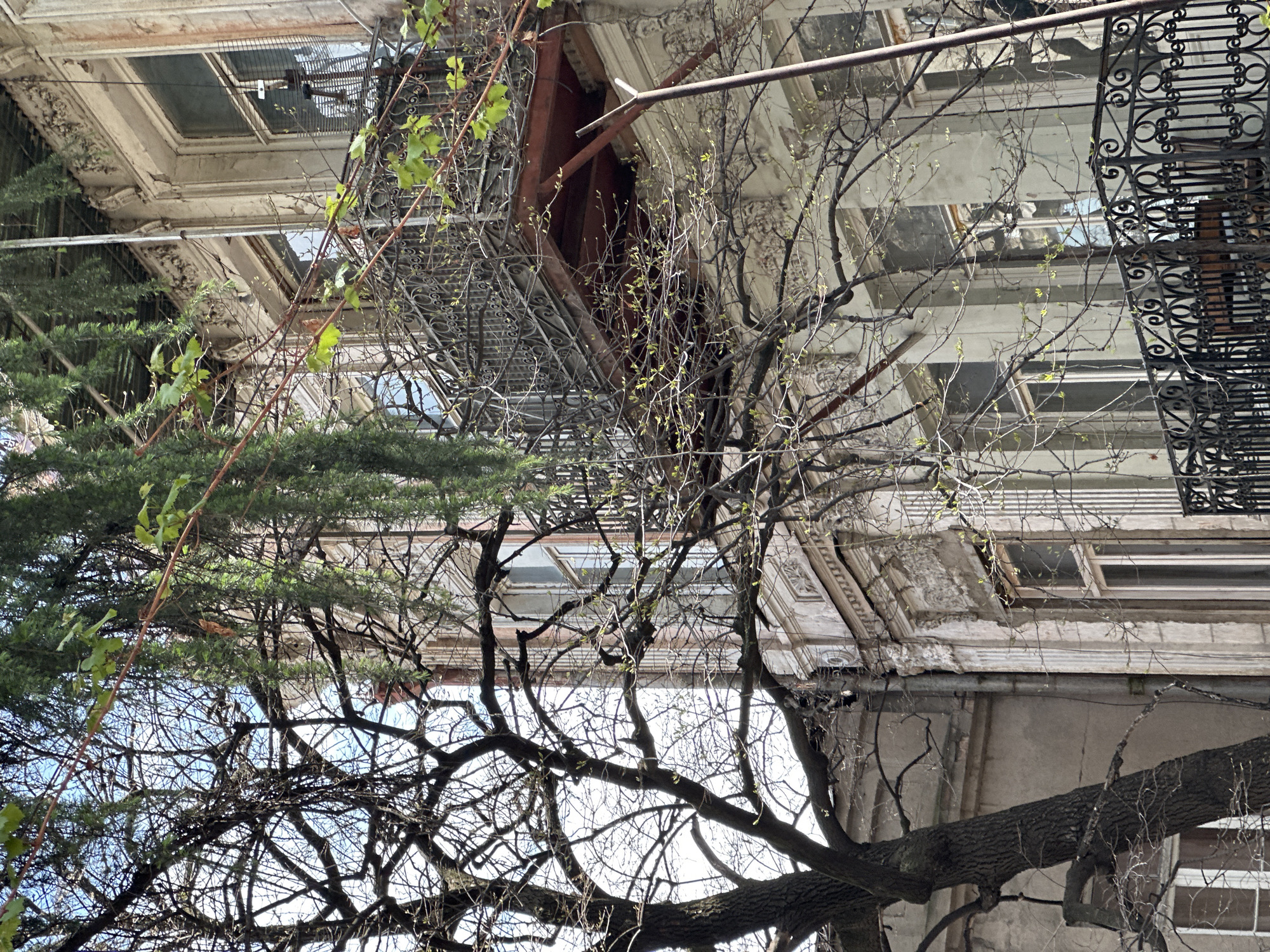 This vertical image, taken in Tbilisi, Georgia, captures an upward view of an old building partially obscured by a dense arrangement of trees. The multi-story building, positioned predominantly on the right side of the frame, displays weathered facades with decorative cornices and moldings, suggesting a classical architectural style. Several windows are visible, some appearing aged or grimy. A prominent black wrought-iron fire escape or balcony with intricate scrollwork runs down the rightmost edge of the building. Towards the center of the structure, a section shows a damaged or unfinished part with exposed reddish-brown beams.
In the foreground and spanning the left half of the image, a variety of trees dominate the view. One large, dark, gnarled tree trunk extends horizontally across the lower part of the frame. Many of the branches of the deciduous trees are bare, creating a delicate silhouette against the bright sky, but numerous small green buds are visible, indicating early spring. To the far left, some evergreen foliage adds a deeper green contrast. The sky, visible through gaps in the branches, is a clear, bright blue. The scene is bathed in daylight, suggesting either morning or early afternoon, with no specific human activity taking place. There is no visible text in the image.