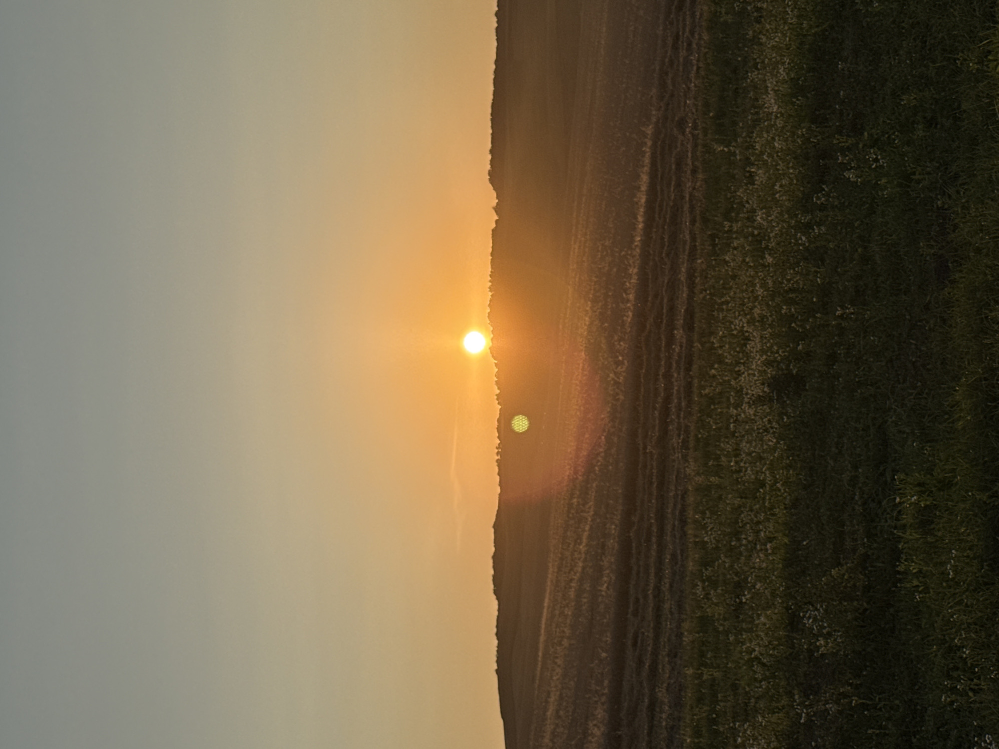 A vertical, medium-shot photograph captures a sunset over a rural landscape. The sky transitions from a pale blue at the top to a vibrant orange near the horizon. The sun, a bright, glowing orb, is positioned slightly left of center, casting a warm light across the scene and creating a lens flare to its right.
The middle ground is dominated by rolling hills that appear to be farmland, with rows of harvested crops or stubble evident. A faint line of trees forms a silhouette against the horizon on the distant hills.
The foreground features a field of green grass interspersed with small white wildflowers, illuminated by the setting sun. The overall atmosphere is serene and peaceful. The location is identified as Unknown, Unknown.