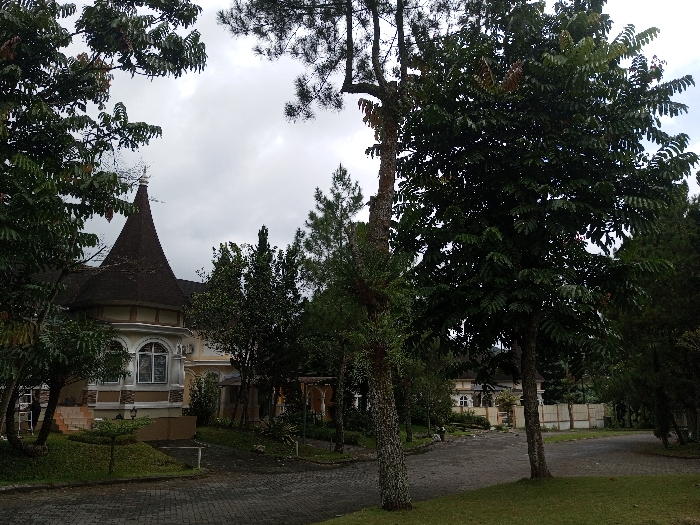 The image shows a street lined with lush green trees, obscuring parts of elegant buildings. A distinctive building on the left features a tall, conical, dark roof. Other buildings with white facades and arch-topped windows can be seen in the background. A brick paved road curves through the scene, adding depth to the view. The image conveys a sense of tranquility and upscale residential architecture surrounded by dense vegetation.