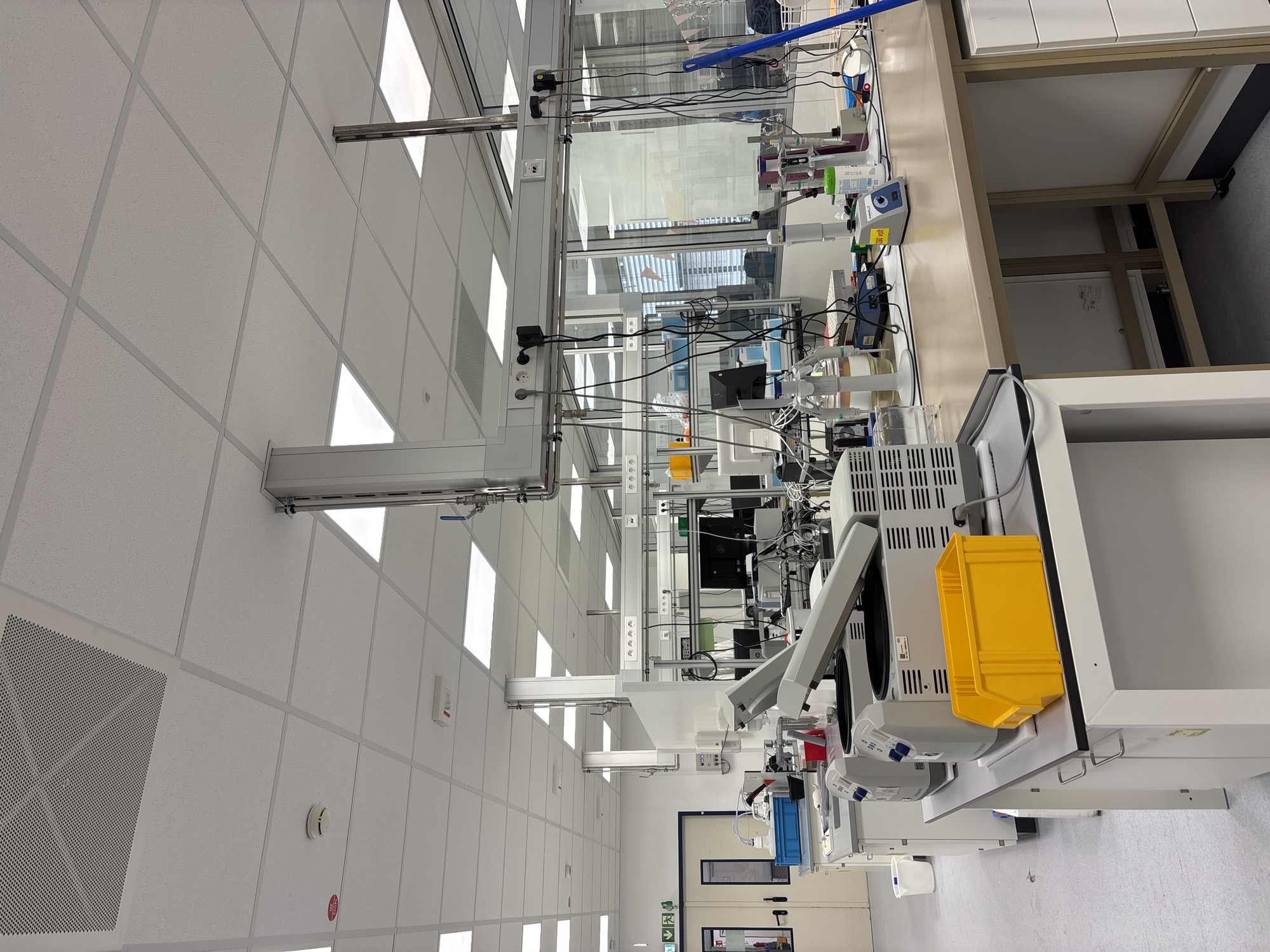 The image shows a modern, well-lit laboratory environment. The room features a suspended white tile ceiling with integrated lighting and air vents. Multiple lab benches are arranged throughout the space, equipped with various scientific instruments, computers, and storage containers. Specifically, there are centrifuges, glassware, pipettes, and other equipment commonly found in a research or testing facility. The walls are predominantly white, with some sections featuring glass partitions. In the background, doors and windows indicate a larger building structure. The floor is a light grey, durable material, likely epoxy or a similar industrial flooring. There are no individuals visible in the image. The overall impression is of an organized and functional laboratory space, possibly within an industrial or institutional setting in Mannheim, Germany.