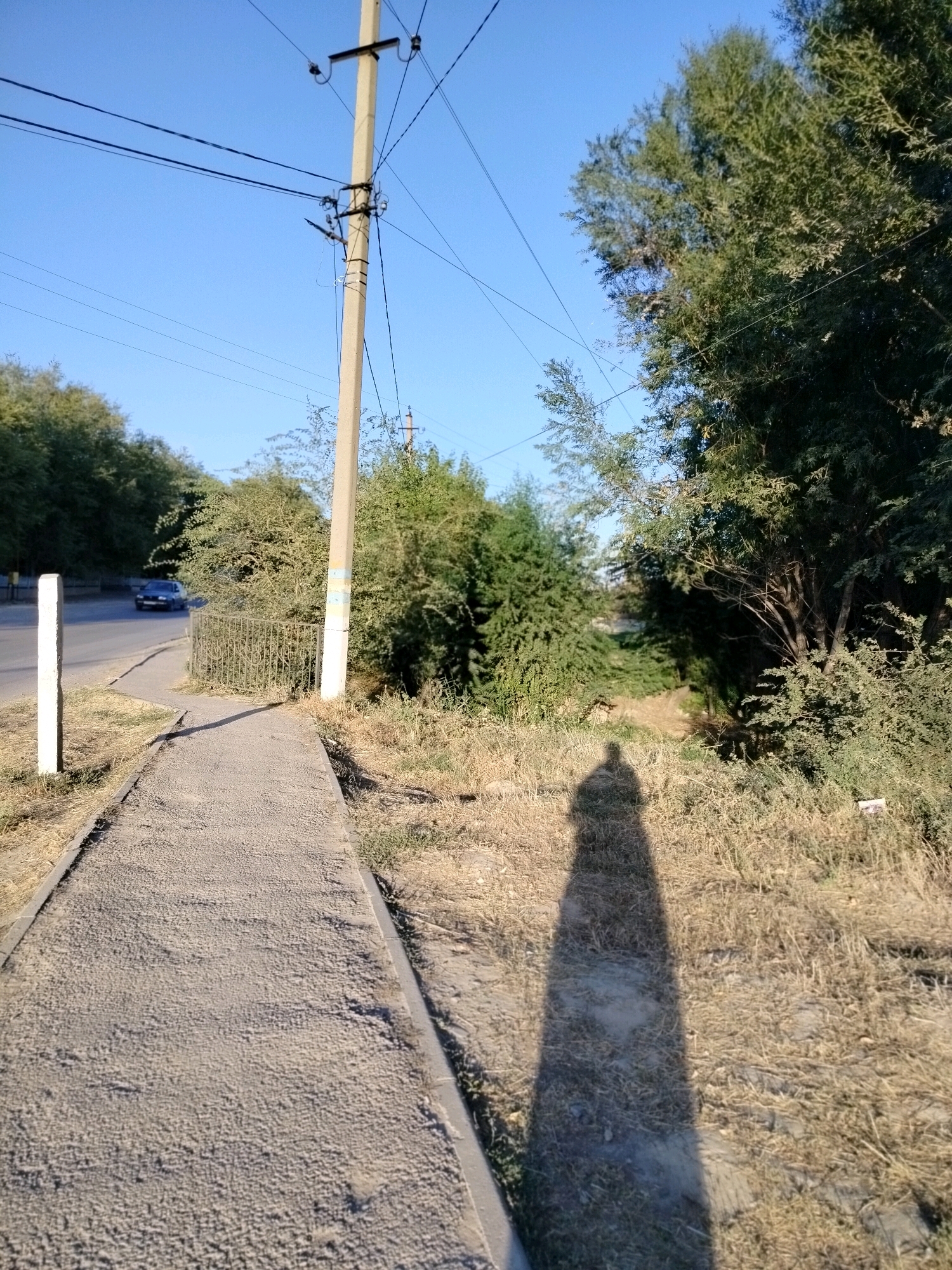 The image shows a concrete sidewalk on the right side of the frame, bordered by dry grass and bushes. A tall, weathered concrete utility pole stands on the right, with several wires extending from it across the clear blue sky. To the left of the sidewalk, there is a paved road with a dark-colored car driving away from the camera. Beyond the road, a dense line of green trees forms a natural barrier. A single white marker post is visible near the beginning of the sidewalk on the left. The shadow of a person, elongated and stretched by the low sun angle, is cast across the sidewalk and the grassy area, indicating the photographer's presence. The scene appears to be on the outskirts of the city of Kölkent, Kazakhstan, characterized by its dry, arid vegetation and utility infrastructure.