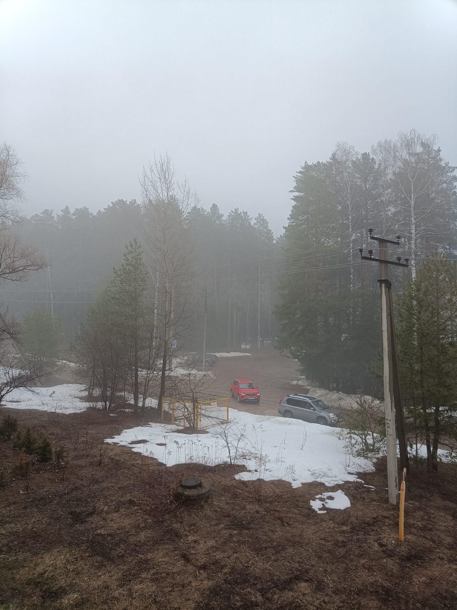 The image shows a hazy outdoor scene in Noviy, Russia. The foreground is dominated by brown, dry vegetation with patches of melting snow. A utility pole stands on the right side of the frame, alongside what appears to be a yellow support beam. In the middle ground, a road forks into the forest obscured by heavy fog. A red car and a gray SUV are parked on the road. Behind them is a dense forest. The sky is overcast, blending with the fog.