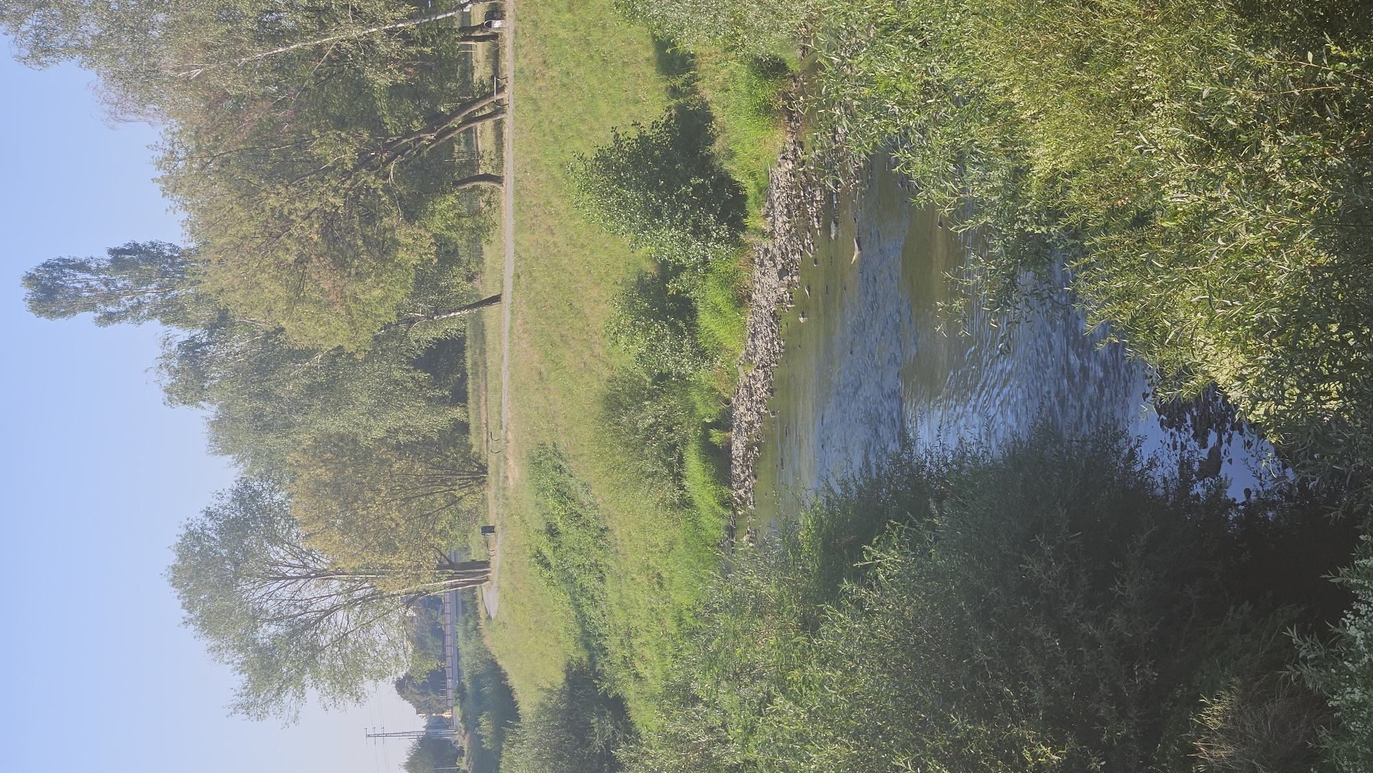 This image depicts a serene natural scene with a river flowing through a park-like area. The foreground is dominated by lush green foliage, with the river in the mid-ground, its surface reflecting the clear blue sky. The riverbanks are lined with stones and grass, and a walking path can be seen on the elevated bank to the right. In the background, a line of trees separates the park from what appears to be a more urban environment, with a bridge and power lines visible in the distance. The overall impression is one of a peaceful, sunlit day in a well-maintained green space. This scene is likely located in the area of the Torysa river in Prešov, Slovakia, possibly within or near one of the city's recreational zones. There are no people or specific actions clearly visible, emphasizing the tranquility of the setting.