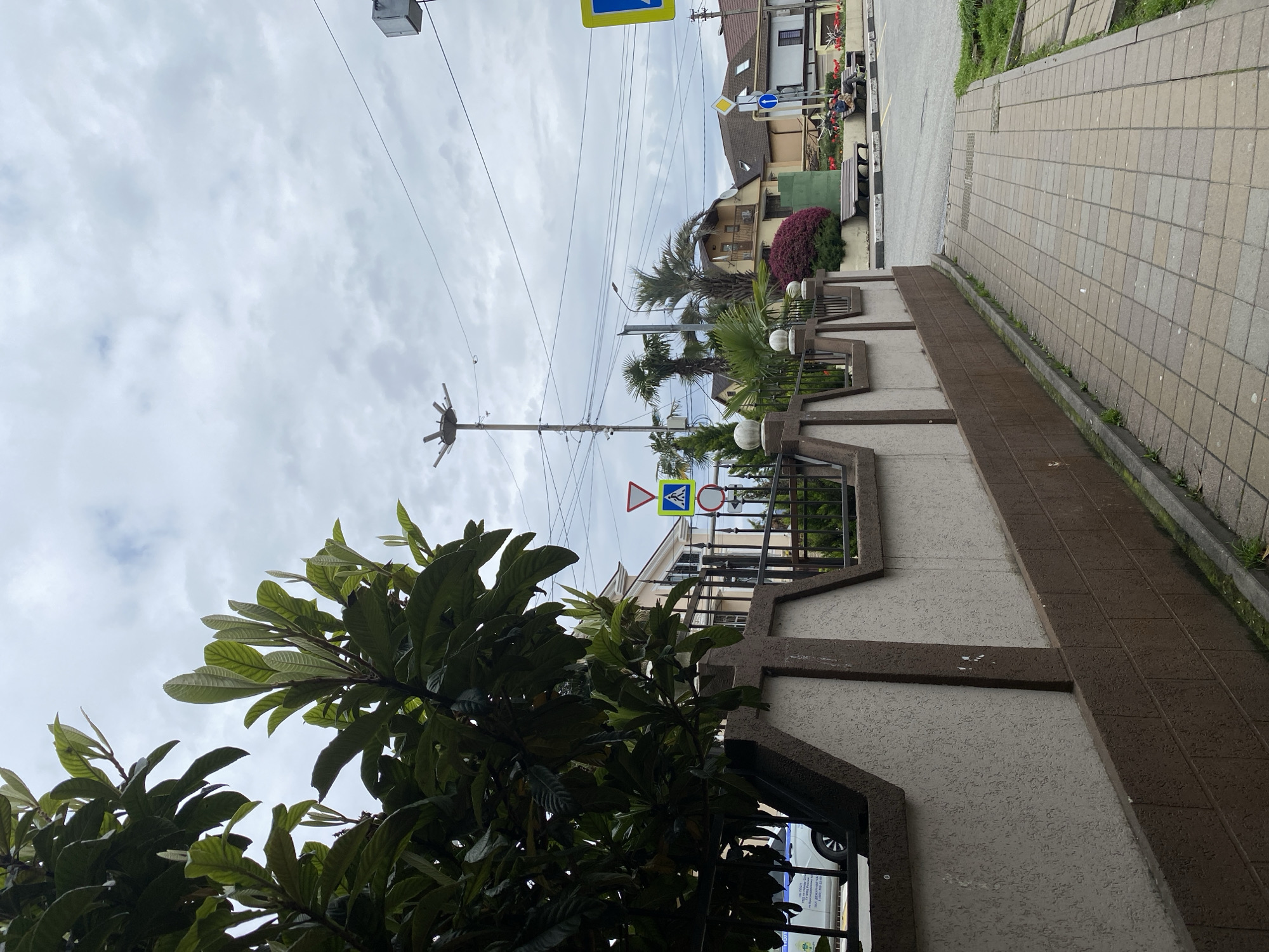 This is a street scene in Sochi, Russia, photographed during cloudy weather. The image is oriented vertically. The foreground features dense green foliage obscuring the lower left. A fence runs along the sidewalk, interspersed with sections of a low beige and brown wall. Traffic signs indicating a pedestrian crossing are visible above the fence. Palm trees rise behind the fence and wall. The background consists of residential buildings on the opposite side of the street. Power lines crisscross above. The sidewalk consists of rectangular beige tiles.