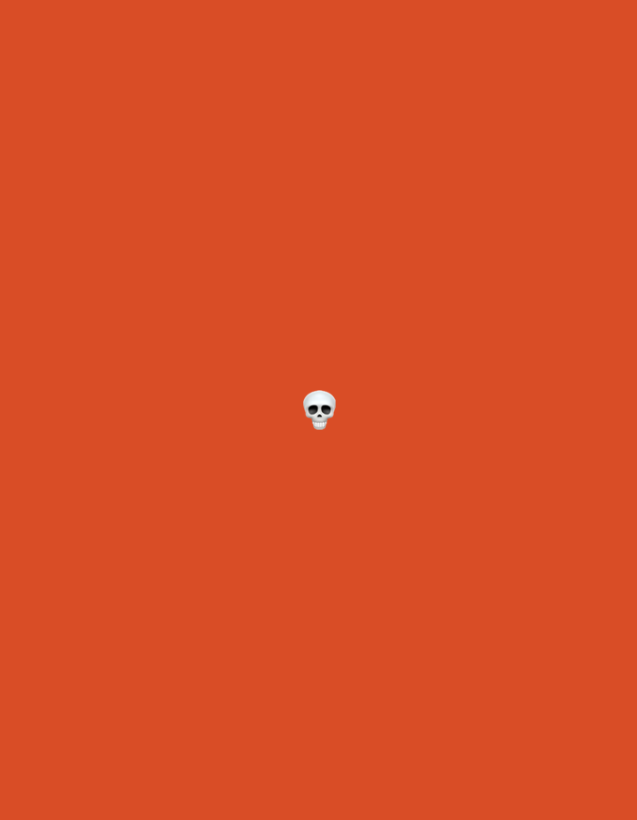 A white skull emoji is centered on a solid orange background. There are no other objects or discernible features in the image. There is no information available in the image to determine a location in the city of Zvezdara Urban Municipality, Serbia.
