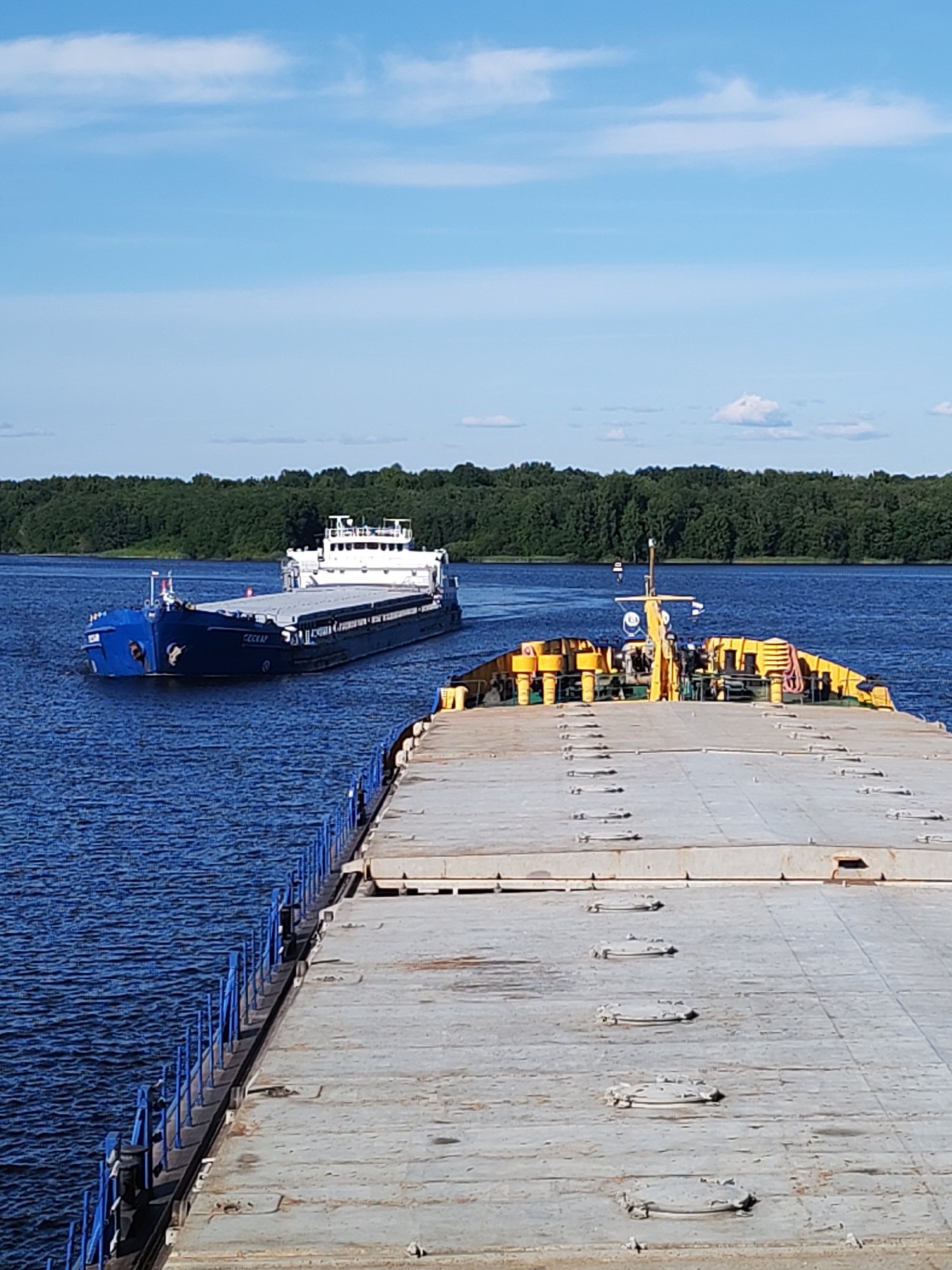 The image captures a serene daytime scene on a wide river, likely in Nova, Russia. The sky above is a bright, clear blue, punctuated by scattered white clouds, suggesting fair weather. A dense, green forest forms the backdrop along the riverbank, indicating a natural and possibly rural setting.
The primary subjects are two barges. In the distance, a large blue barge with a white superstructure is moving forward. The barge has the visible text "CECKAP" on its side. In the foreground, a closer barge, mostly unseen except for its deck and upper structure, is also present. This barge has a yellow superstructure and appears to be stationary, possibly docked or anchored. The deck of the foreground barge is weathered, showing rows of metal hatches or fixtures.
The activity depicted is river transportation, with at least one barge actively navigating the waterway. The clear water reflects the blue of the sky and the surrounding greenery. The overall mood is peaceful and industrial, highlighting the functional aspect of river commerce. The time of day is clearly daytime due to the bright sunlight and blue sky. No people are clearly visible in the image, but their presence is implied by the operation of the barges.