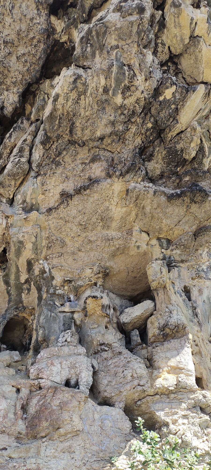 The image shows a close-up, vertical view of a textured rock face with variations in color and composition. The rocks are predominantly light brown and tan, with darker grey and black areas suggesting mineral deposits or weathering. The surface is rough and uneven, with visible cracks, fissures, and protruding formations. Some areas appear more porous and weathered than others, creating a rugged and eroded appearance. There are small indentations and openings within the rock face, hinting at natural hollows or crevices. In the lower right corner, a small cluster of green foliage with leaves is visible, suggesting the presence of vegetation in the surrounding environment. The lighting indicates a bright, sunny day, casting shadows that accentuate the rock's texture and depth. No people, animals, or man-made objects are present in the image. The location in Meunasahbale, Indonesia is not discernable from the image content.