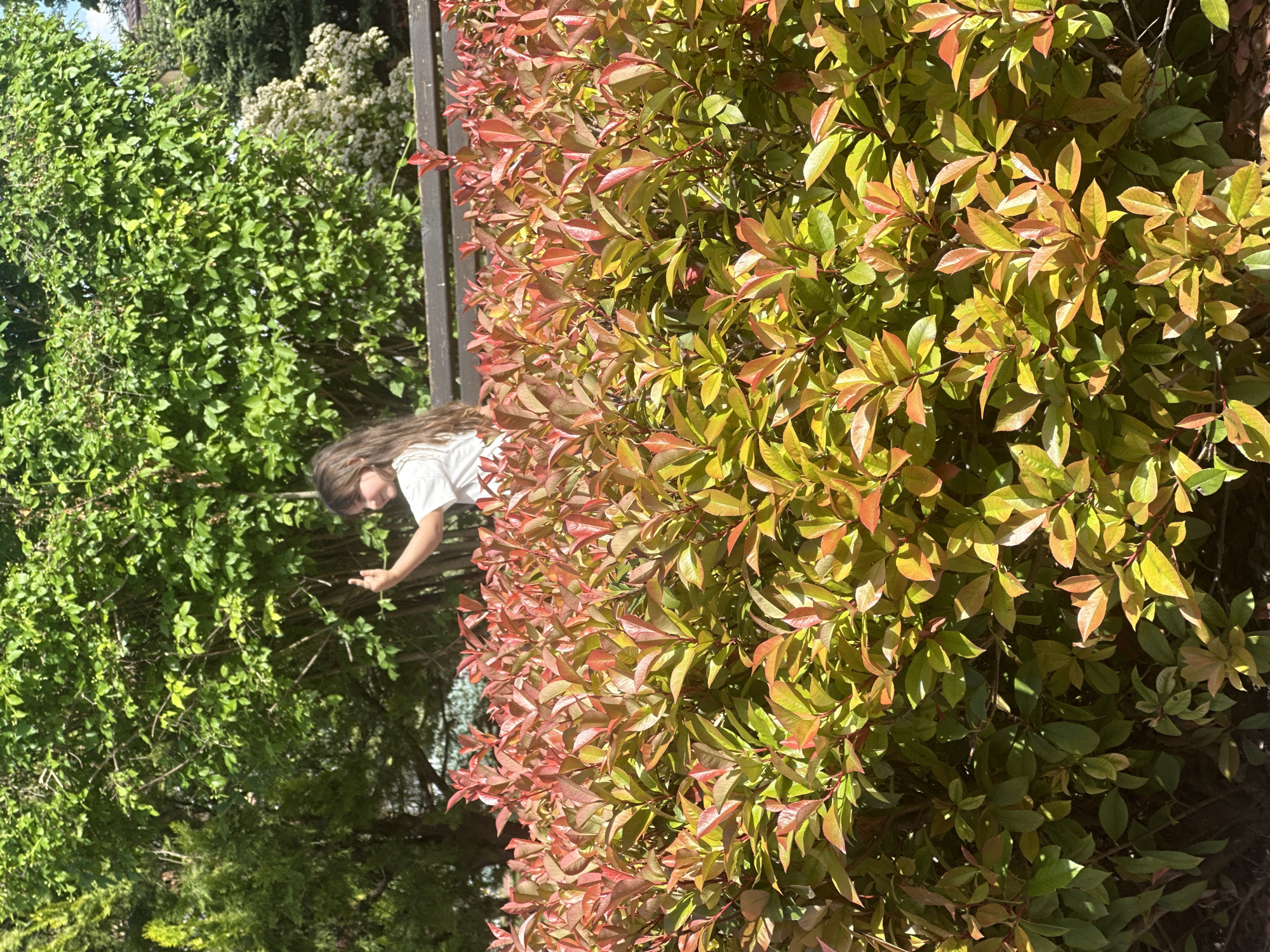 The image depicts a young girl standing in front of a bush with green and reddish leaves, possibly in Resen, Bulgaria. She is wearing a white shirt and appears to be reaching out towards the green leaves of another bush or tree to her left. The bushes and trees are situated outdoors under daylight conditions.