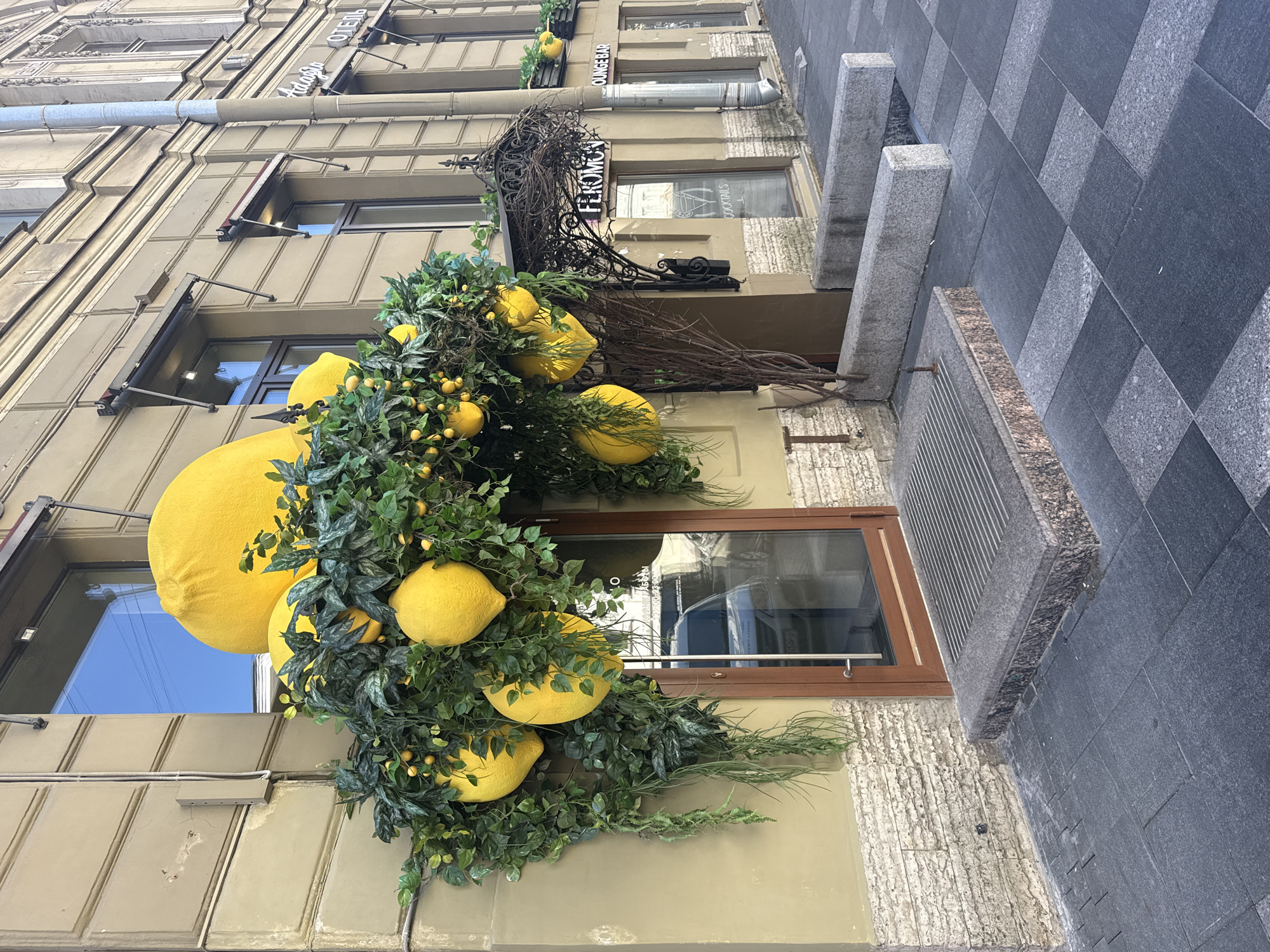 The image displays a detailed view of a building facade adorned with prominent artificial lemon and foliage decorations, captured from a slightly upward street-level perspective. The setting appears to be a vibrant commercial area.
The most striking feature is the extensive decoration, which includes numerous large, bright yellow, artificial lemons, some appearing cushion-like and others smaller and more realistic. These are intertwined with various types of artificial green foliage, resembling bay leaves, ivy, and fine grasses, creating a lush, textured display around windows and what appears to be an entrance.
The building itself has a light beige or yellow-brown facade with classical European architectural elements, including ornate moldings and structured window outlines on its upper stories. Several windows are visible; some have light-colored awnings, while others reflect a clear blue sky. A large, dark-colored sign featuring "FEROMGA LOUNGE BAR" is prominently displayed, with "COCKTAILS" also visible on a nearby window. Further up, awnings show the text "АДАЖИО" (Adagio) and "ОТЕЛЬ" (Hotel), indicating the presence of a hotel. Metal pipes and vents run along the building's exterior.
At ground level, a distinctive sidewalk made of alternating dark gray and light gray checkered granite tiles is visible. Several rectangular stone pillars, also made of gray granite, line the base of the building, alongside a metal grate set into a granite surface. The bright, even lighting suggests the photograph was taken during the daytime on a clear day. No people are visible in the scene. The overall impression is one of a decorative and inviting street-front establishment.