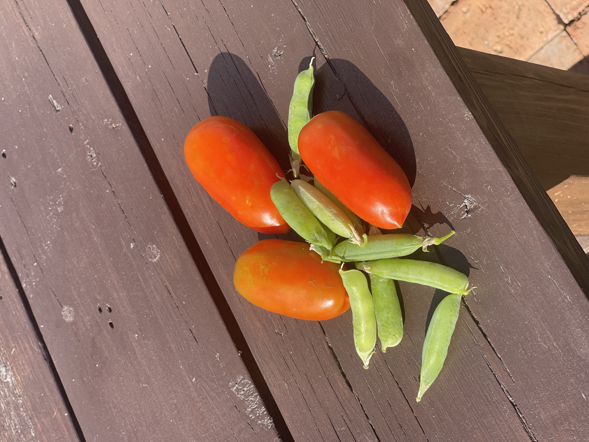 The image shows a collection of fresh produce, specifically Roma tomatoes and sugar snap peas, arranged on a weathered, dark brown wooden picnic table. The tomatoes are a vibrant red-orange, with a characteristic elongated shape. The sugar snap peas are a bright green and are still in their pods, some with visible tendrils. The table is outdoors, with dappled sunlight casting shadows and highlighting the grain of the wood. The background shows the edge of the table and some brickwork, suggesting an outdoor setting such as a garden or patio. There are no people present in the image. The location in Orenburg, Russia is not discernible from the visual information provided in the image.