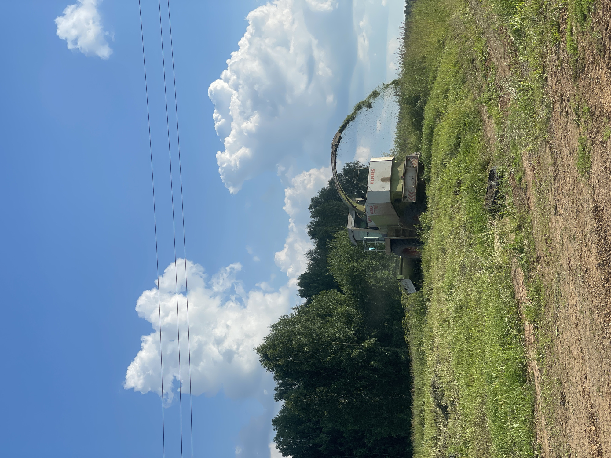 In the rural outskirts of Bormist, Russia, a Claas forage harvester is actively engaged in cutting and processing grass in a sunlit field under a bright blue sky dotted with fluffy white clouds. The agricultural machinery, emblazoned with the "CLAAS" logo, is positioned in the middle ground, with its chute elevated and dispersing a stream of cut vegetation. The foreground features a dirt track leading into the field, partially overgrown with grass. Behind the harvester, a dense line of green trees forms the edge of the field, suggesting a forested area. The overall environment is agrarian, characterized by open fields, vegetation, and agricultural activity.