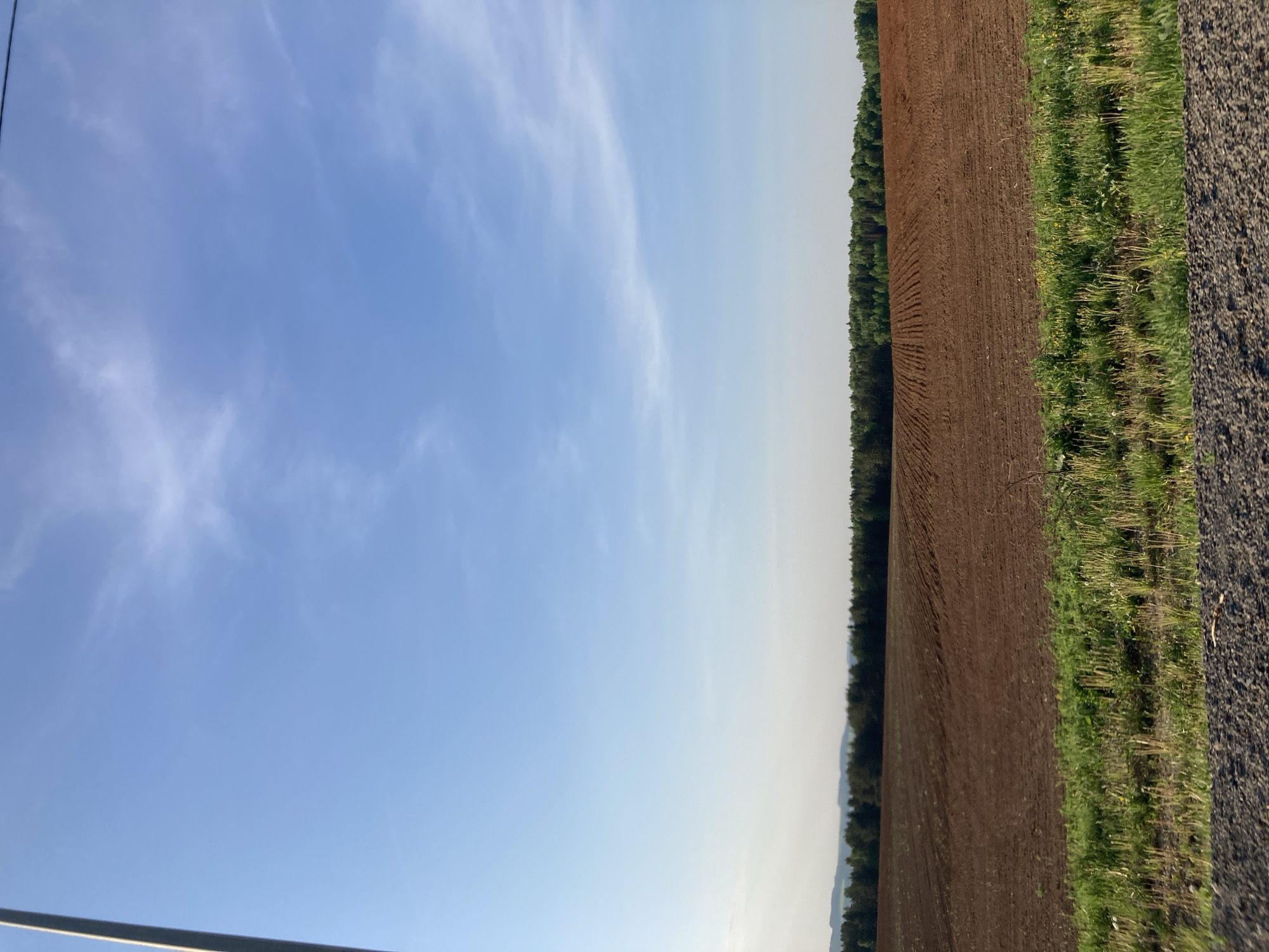 The image shows a rural landscape. A plowed brown field occupies the right side of the frame, bordered by a line of trees. To the right of the field, there is a strip of green grass and a section of a paved road. The left side of the image is dominated by a blue sky with wispy clouds. The location is specified as Verkh-Sosnova, Russia, but no further detail about this location is present in the picture. There are no people or other subjects visible.