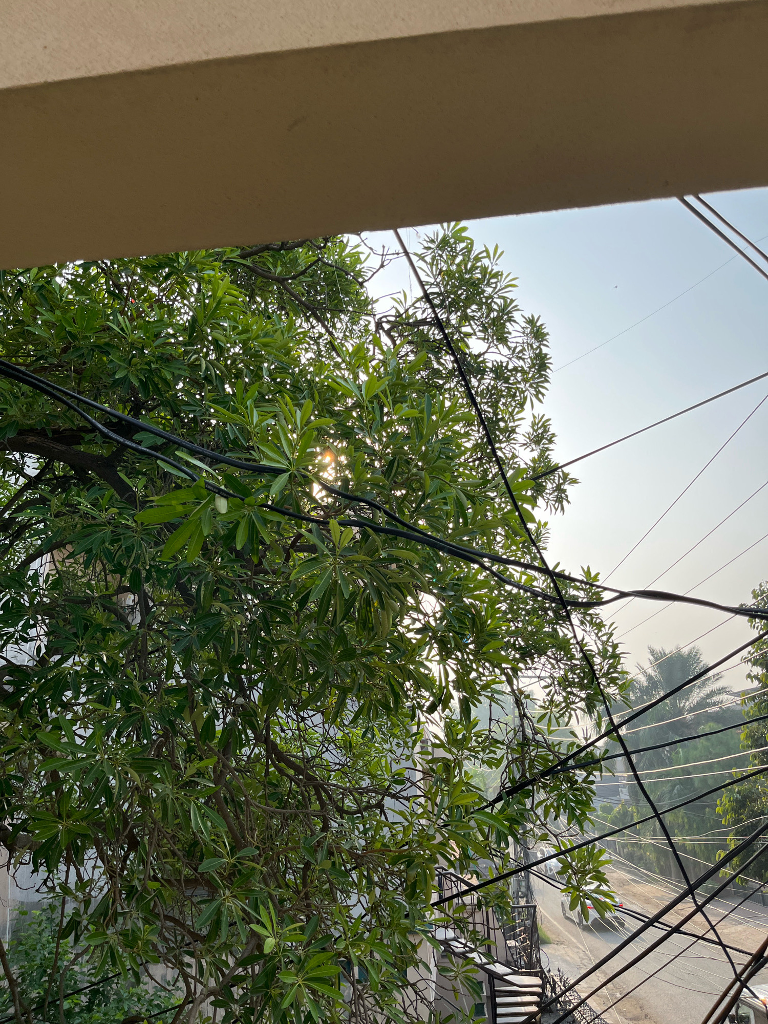 The image captures a view through a dense green tree, with its branches and leaves partially obscuring a street scene. Several black electrical wires crisscross the frame, some draped over the tree branches. In the background, a paved road is visible with a white car driving on it. The sky above is a clear light blue, indicating daytime. A concrete structure, possibly a balcony or ledge, is visible at the top of the frame, creating a border. The overall setting appears to be an urban or semi-urban environment in Samsani Khui, Pakistan, characterized by overhead utility lines and vegetation.
