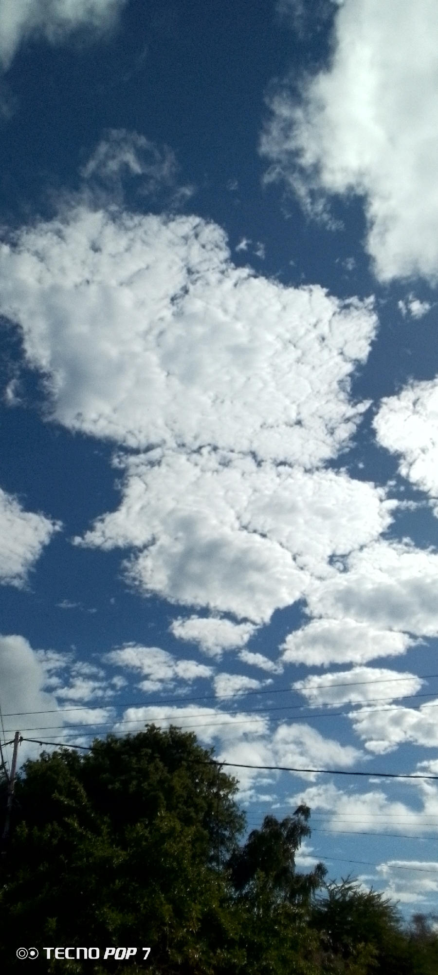 A vertical, eye-level shot shows a deep blue sky speckled with cumulus clouds. The clouds are predominantly white with tinges of gray, and they vary in size and density, creating an irregular pattern. In the lower portion of the frame, the tops of green trees are visible, suggesting a location near a park or residential area. Thin power lines stretch across the lower half of the image, cutting through the sky. At the very bottom, the words "TECNO POP 7" appear, likely indicating the type of camera used. The photograph appears to be taken in an outdoor location in Altagracia, Venezuela, though specific details of the exact location within the city are absent.