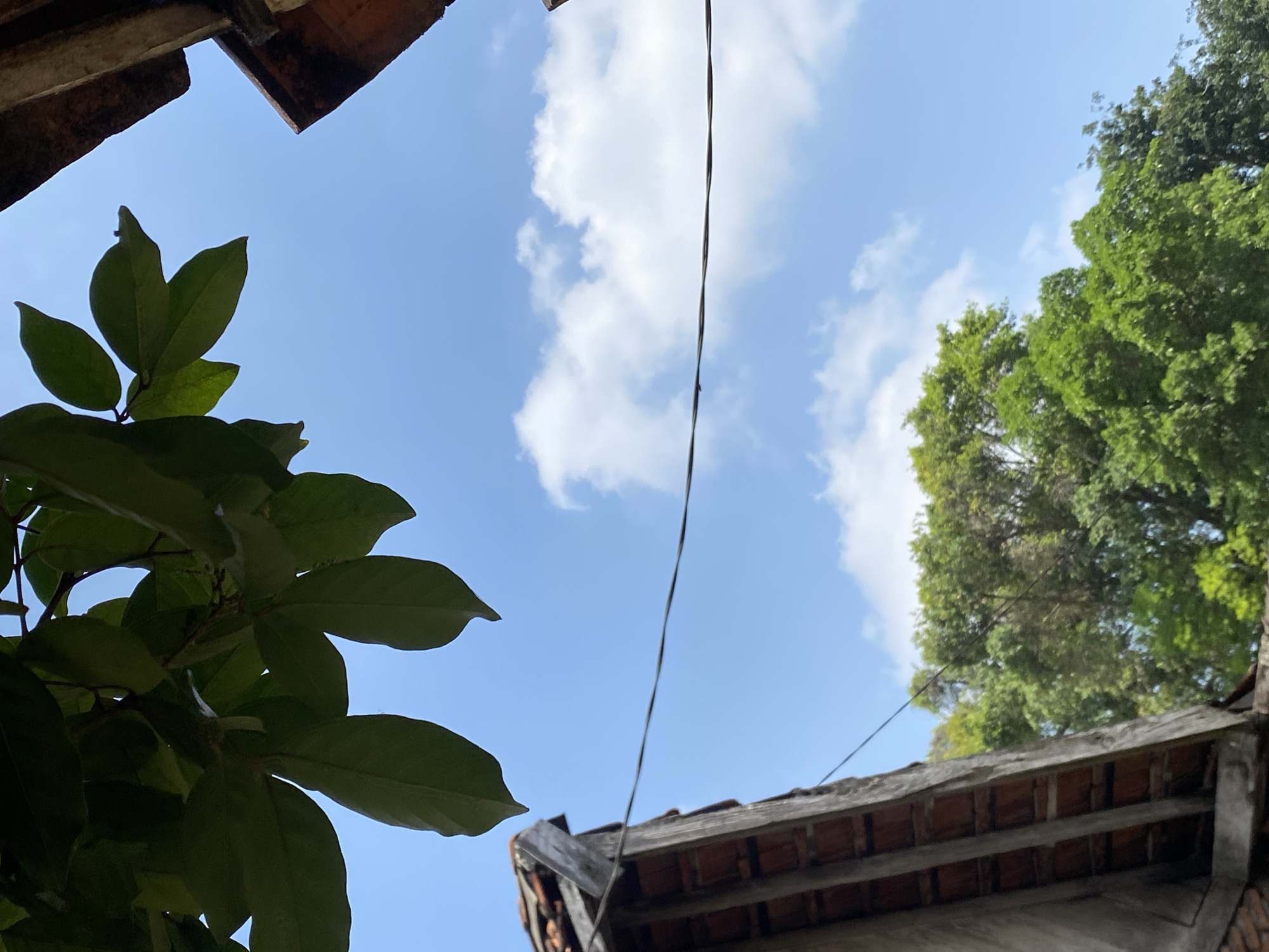 The image shows a low-angle view looking up at a clear blue sky with scattered white clouds. In the foreground, there are green leaves hanging from a tree, casting shadows. To the left and right, parts of tiled roofs of buildings are visible, suggesting an urban or semi-urban environment. A thin wire runs horizontally across the sky. In the background, a dense canopy of green trees is present. The scene appears to be outdoors during the daytime.